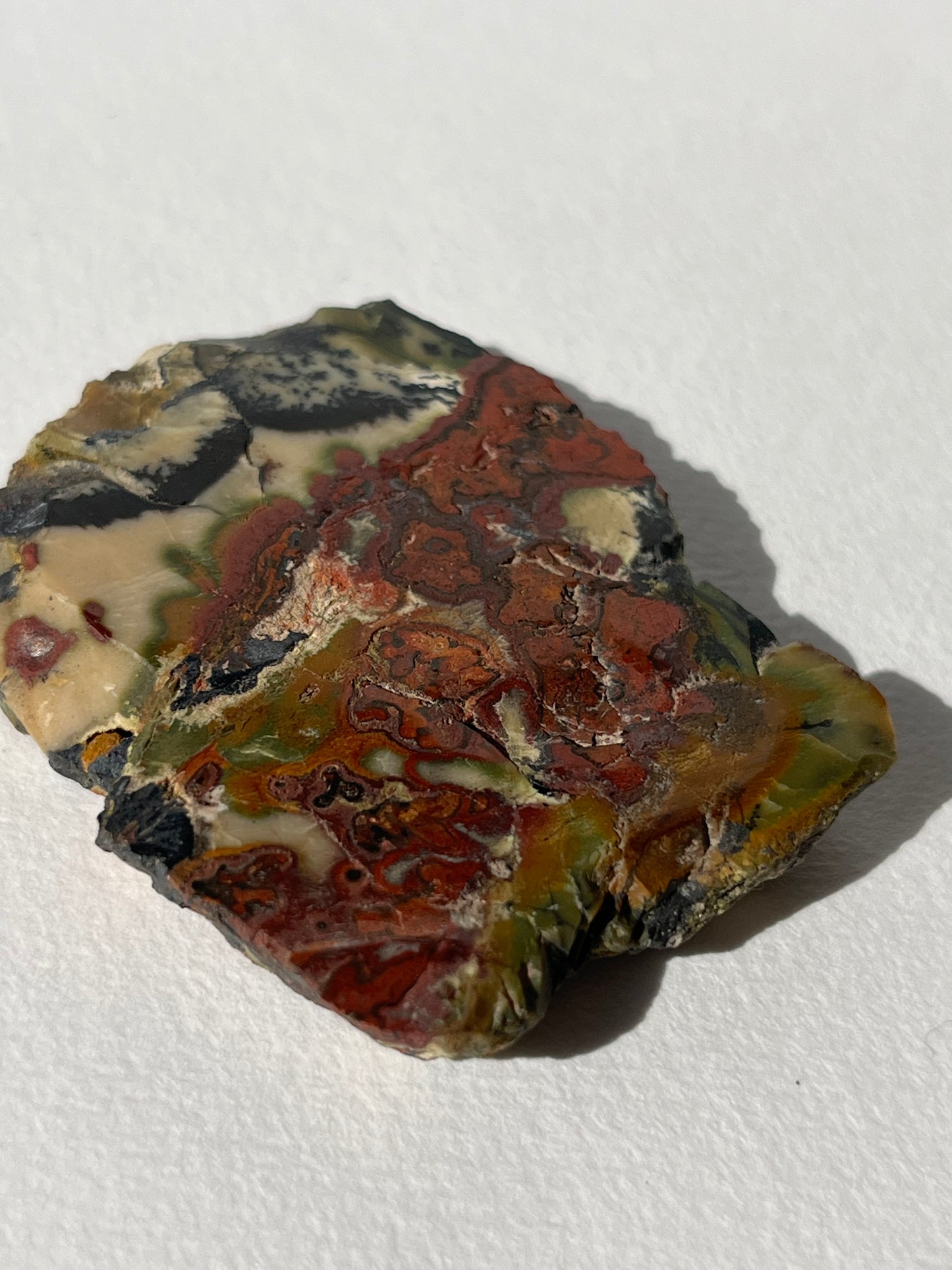 “Leafy Seadragon” Batu Seniman Picture Jasper Polished Slab H