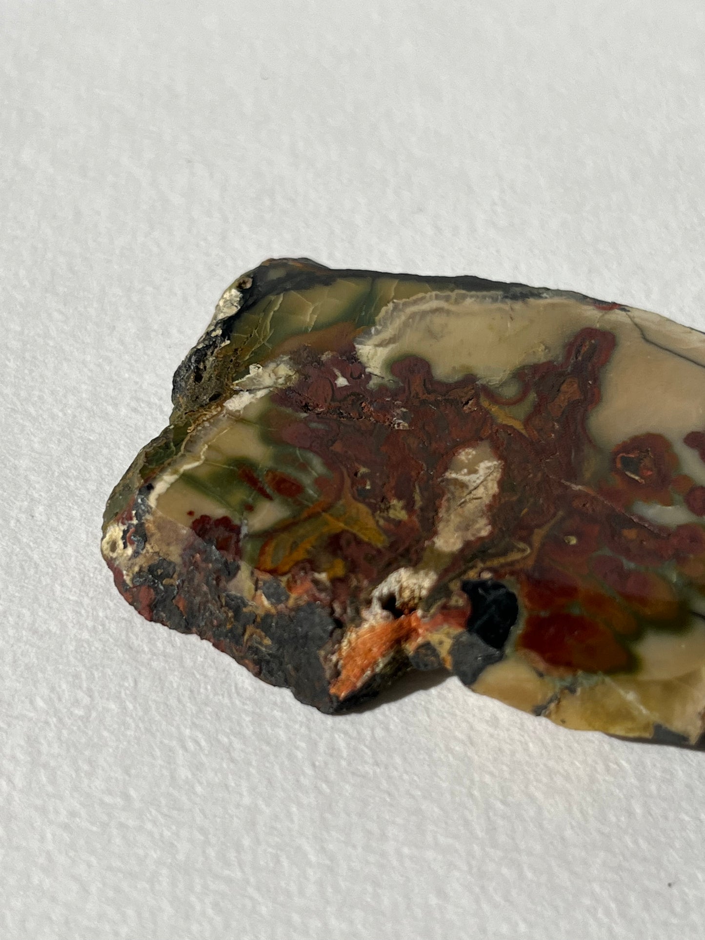 “Leafy Seadragon” Batu Seniman Picture Jasper Polished Slab H