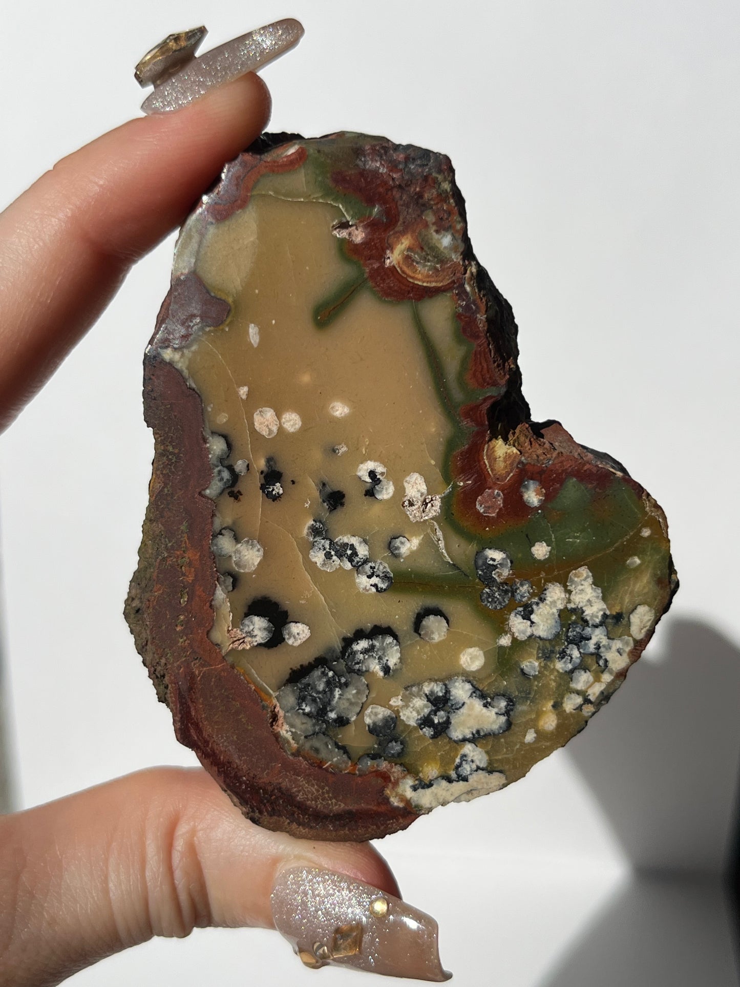 "Dandelion Trails" Batu Seniman Picture Jasper Polished Slab B