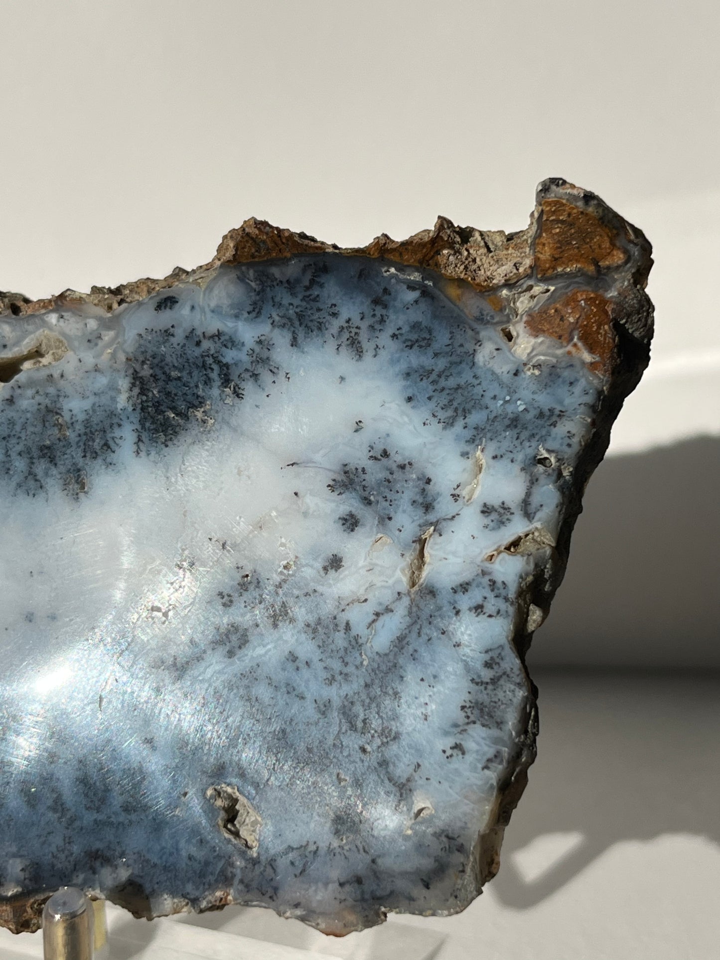 Blue Dendritic Opal Slab A