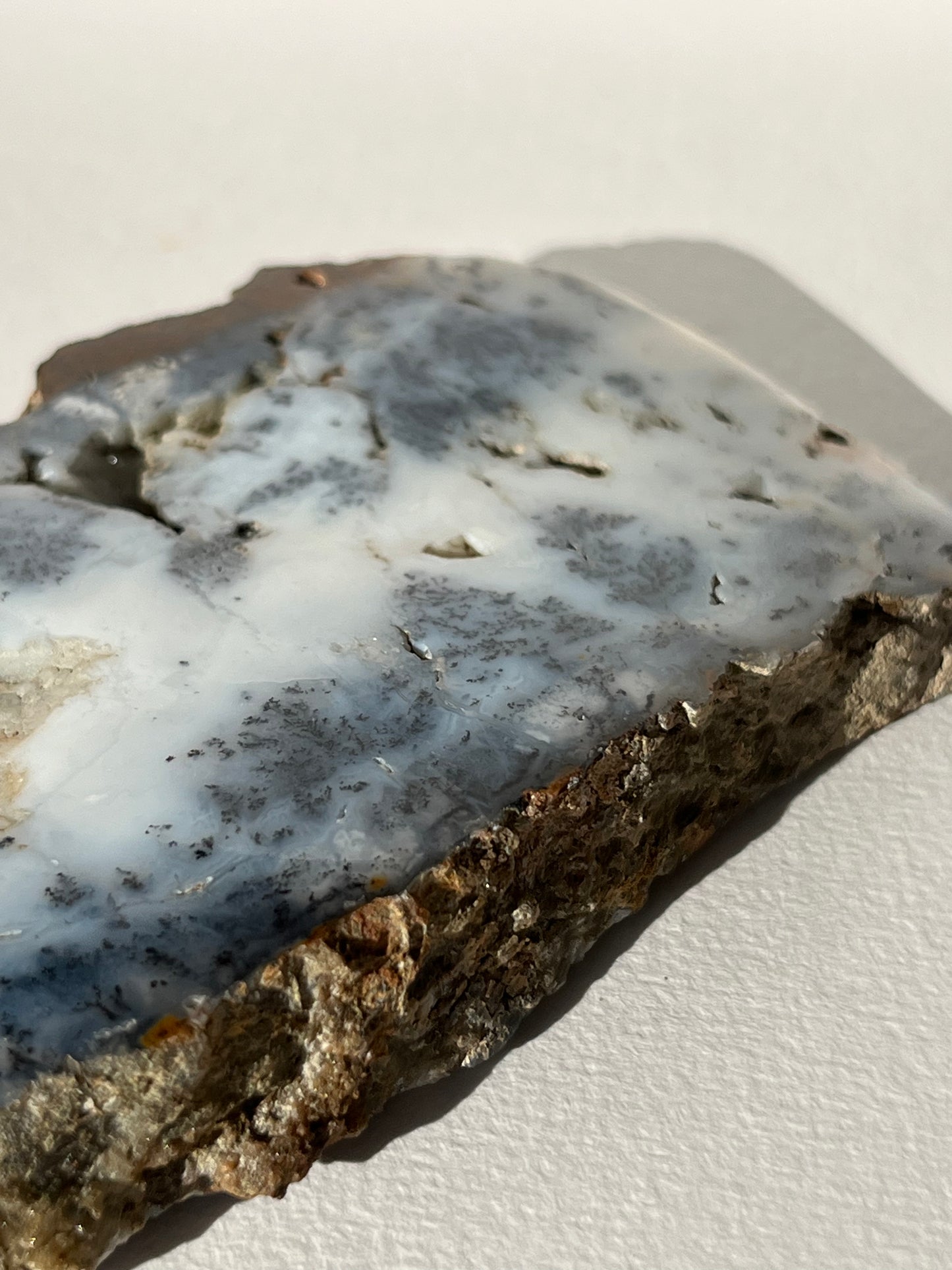 Blue Dendritic Opal Slab A
