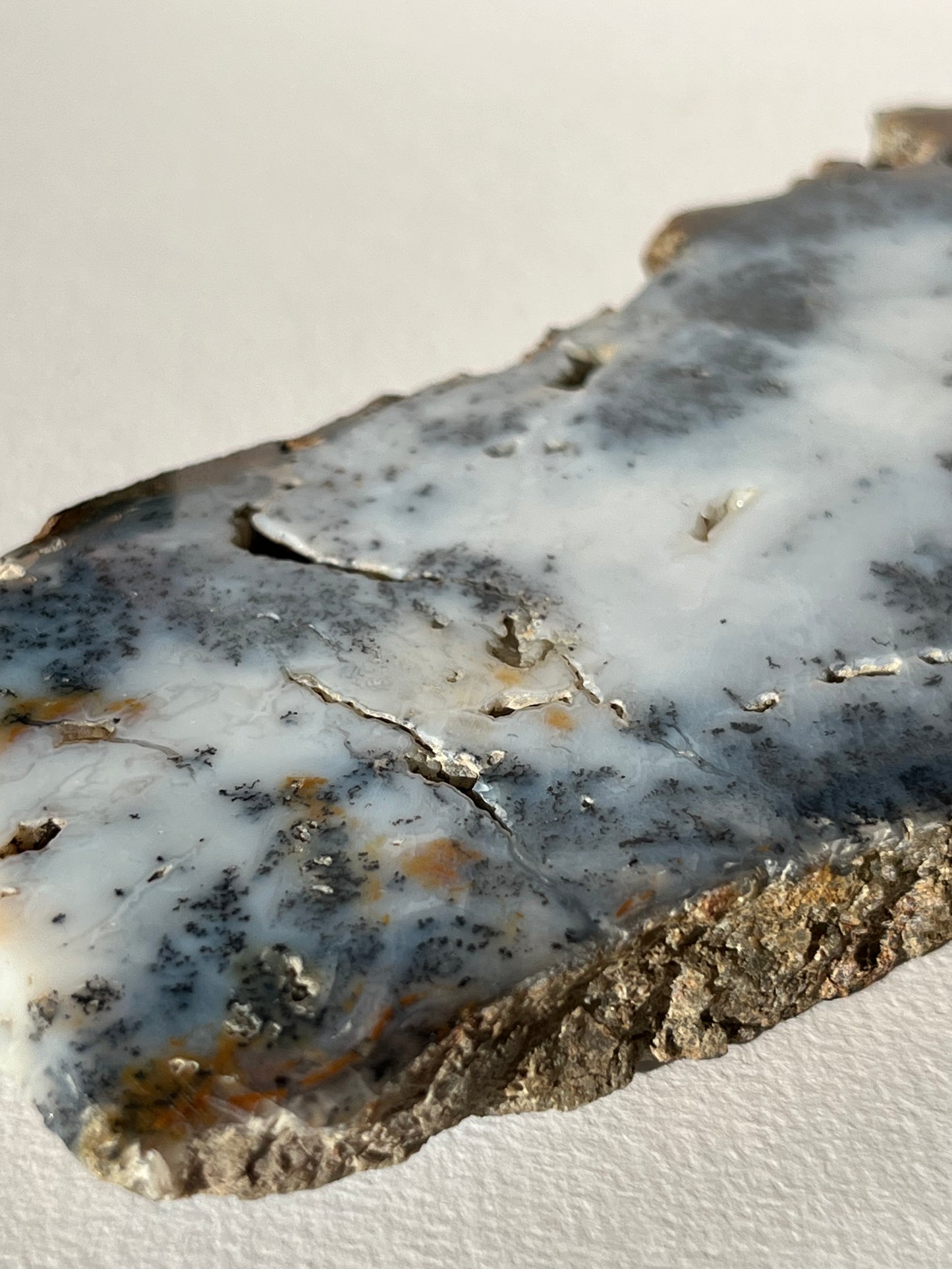 Blue Dendritic Opal Slab A