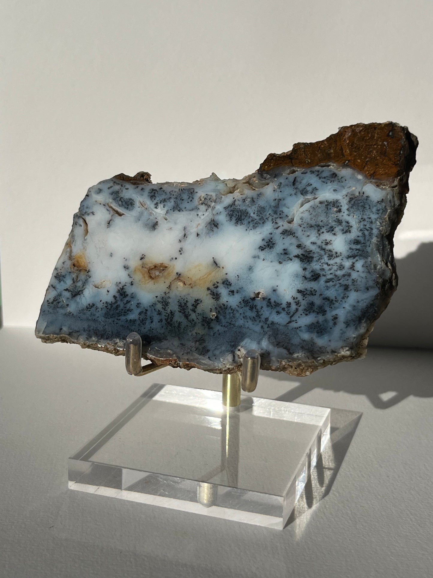 Blue Dendritic Opal Slab B