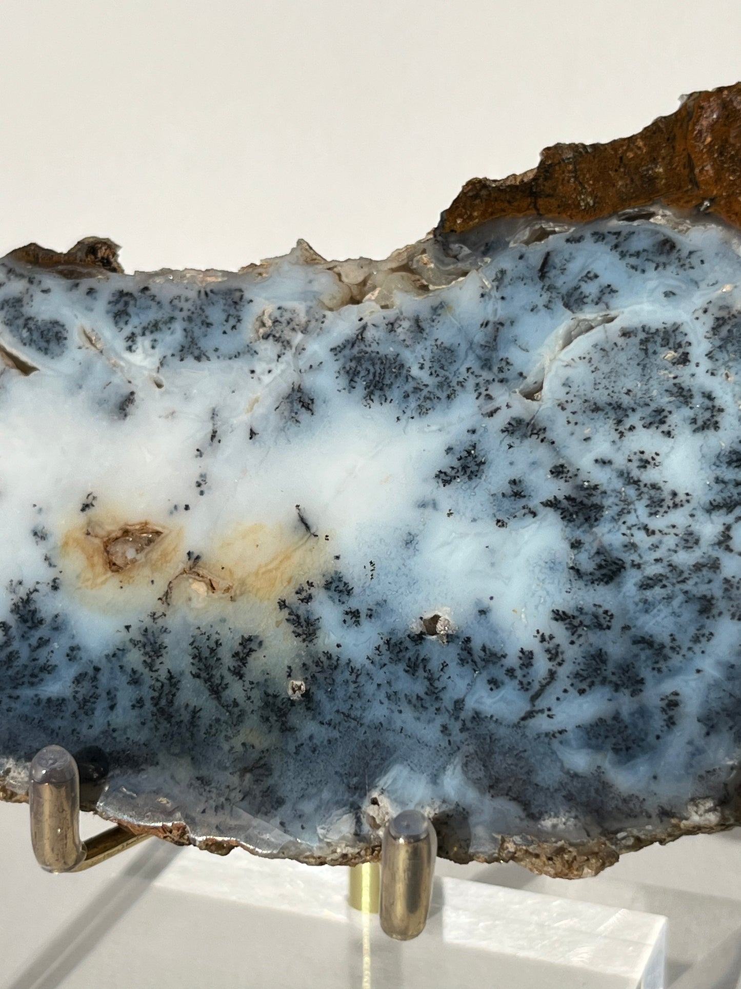 Blue Dendritic Opal Slab B