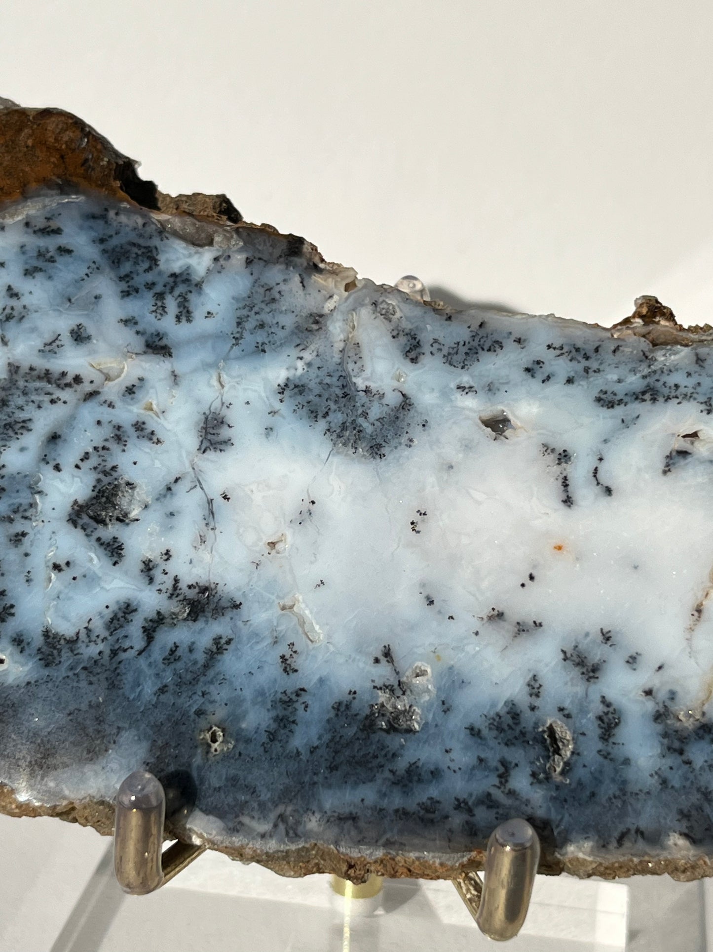Blue Dendritic Opal Slab B