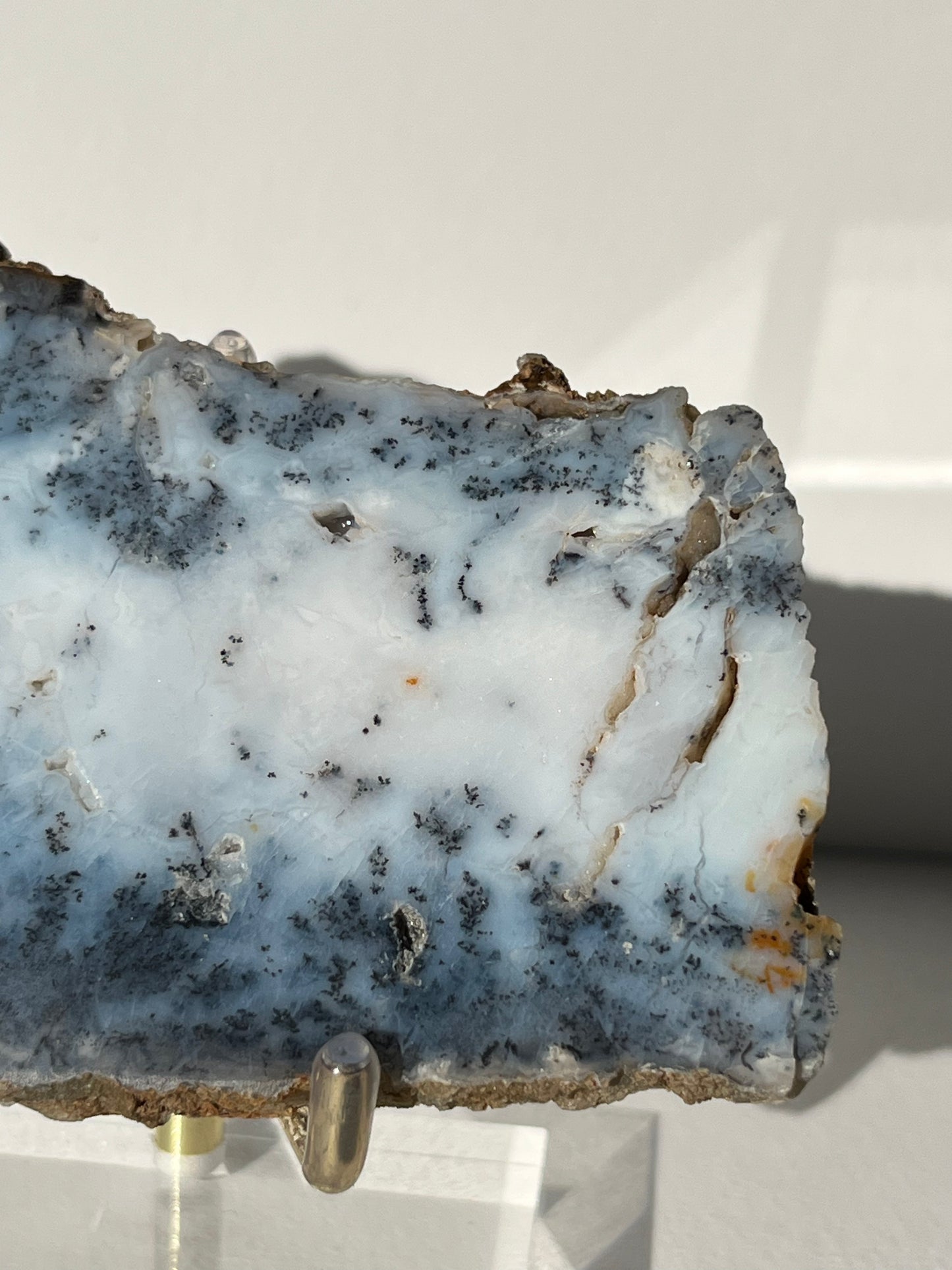 Blue Dendritic Opal Slab B