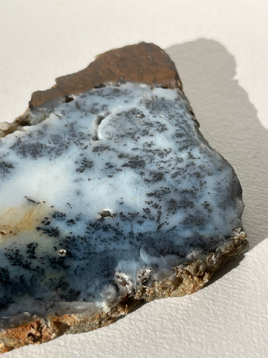 Blue Dendritic Opal Slab B