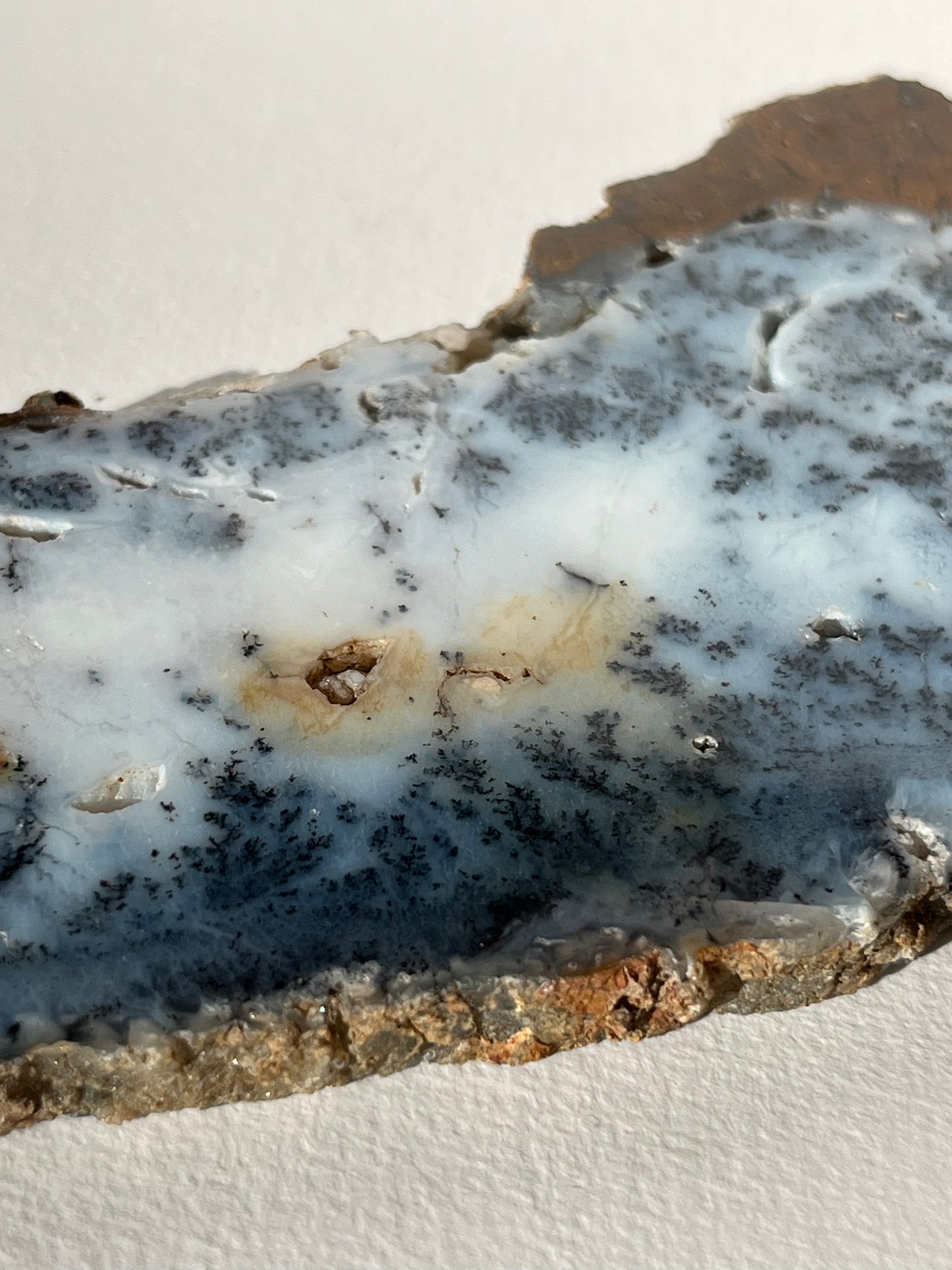 Blue Dendritic Opal Slab B
