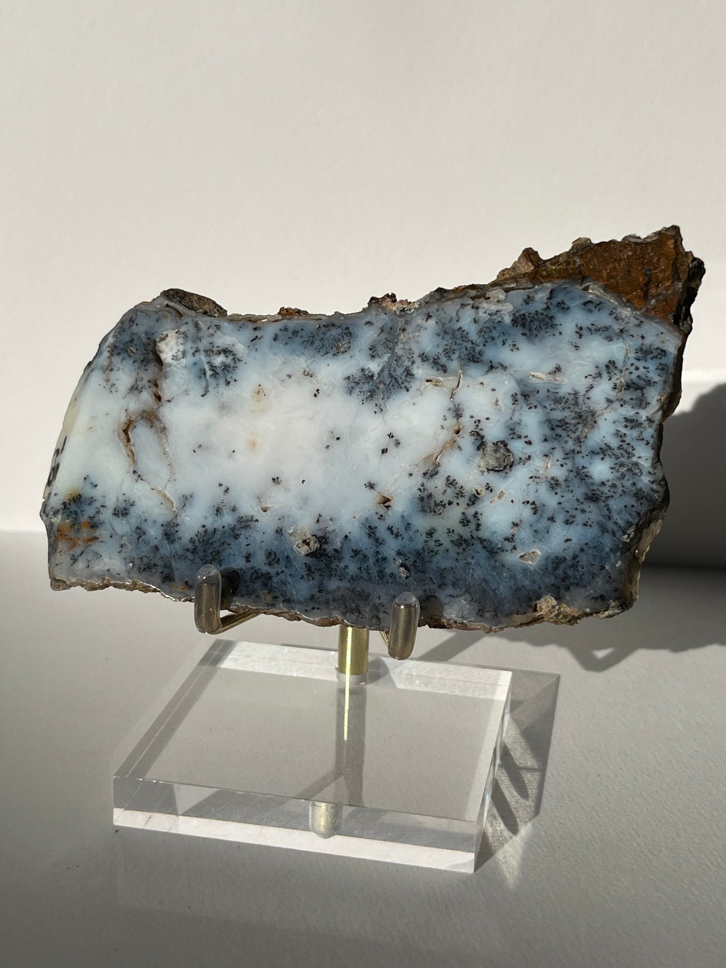 Blue Dendritic Opal Slab C