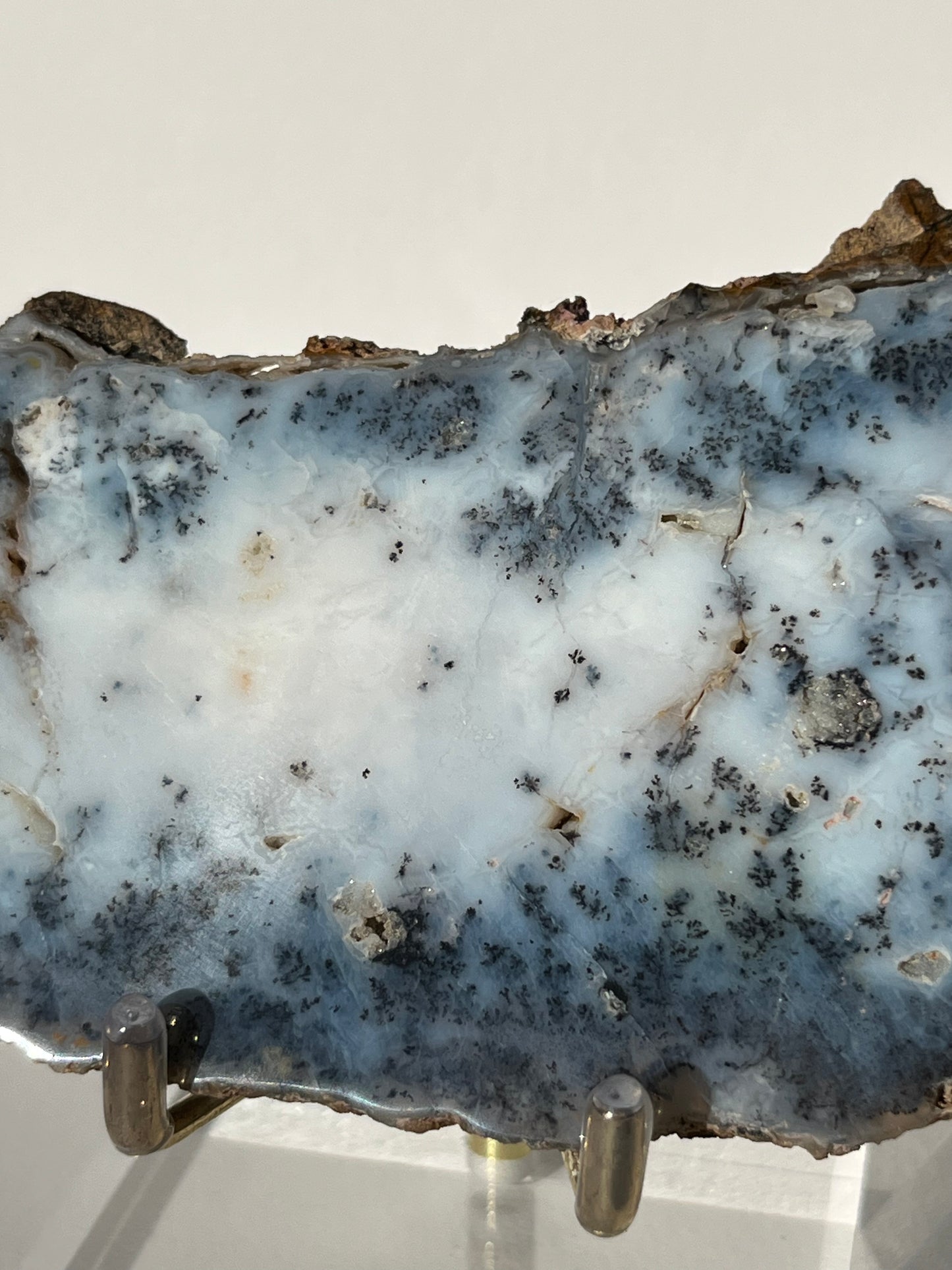 Blue Dendritic Opal Slab C
