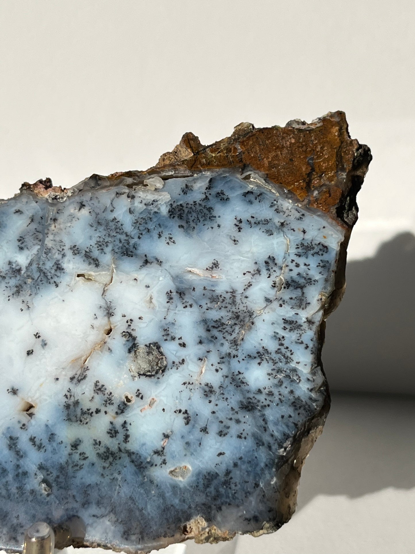Blue Dendritic Opal Slab C