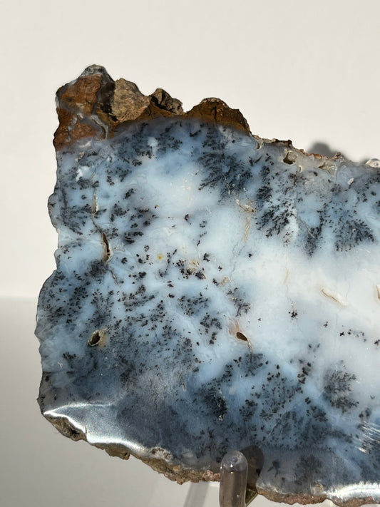 Blue Dendritic Opal Slab C