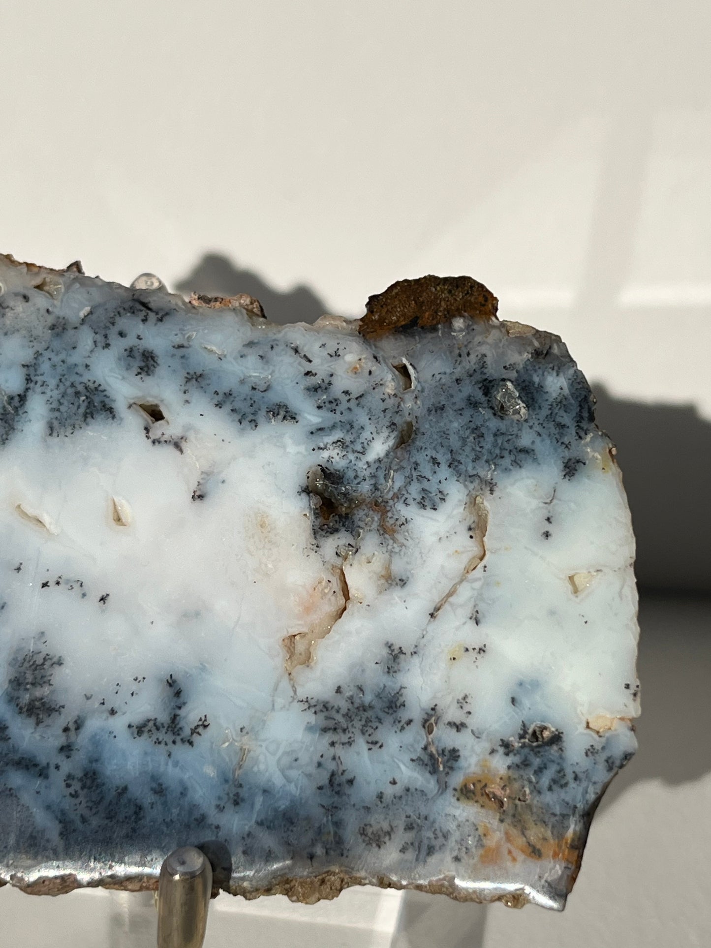 Blue Dendritic Opal Slab C