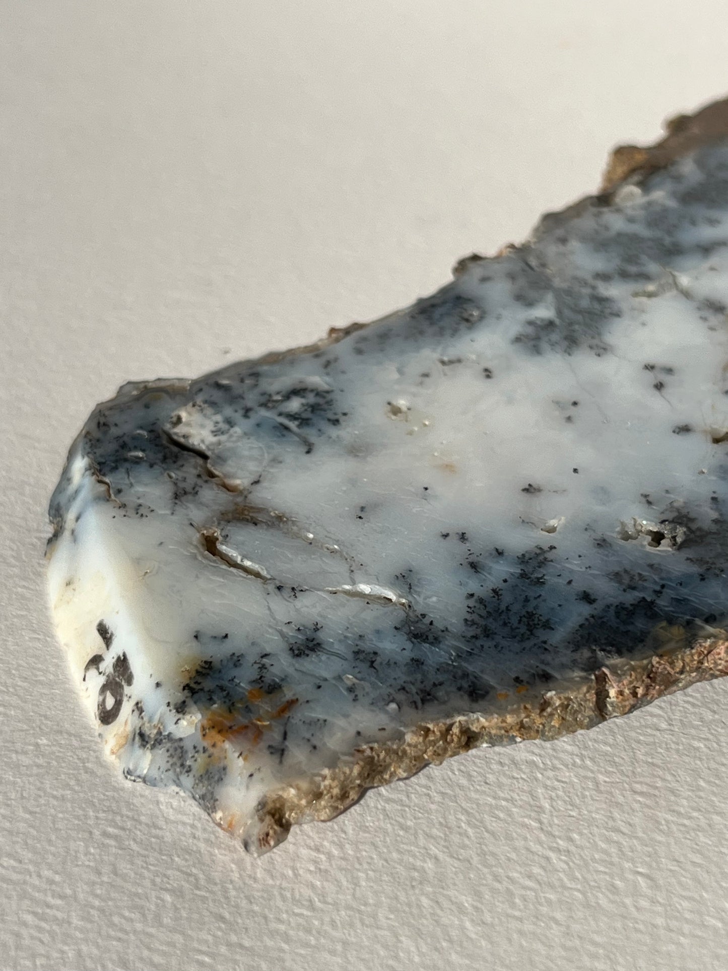 Blue Dendritic Opal Slab C
