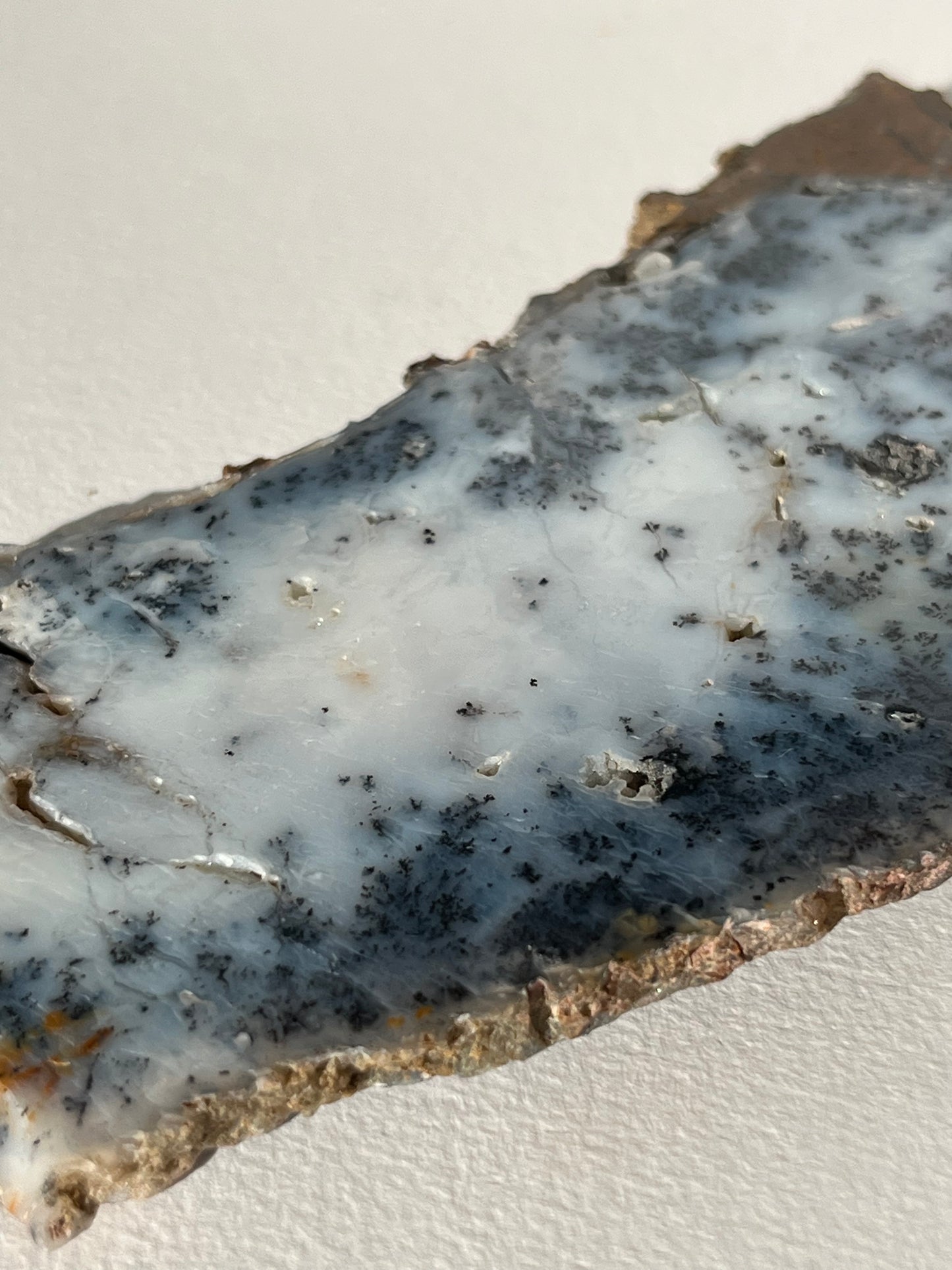 Blue Dendritic Opal Slab C