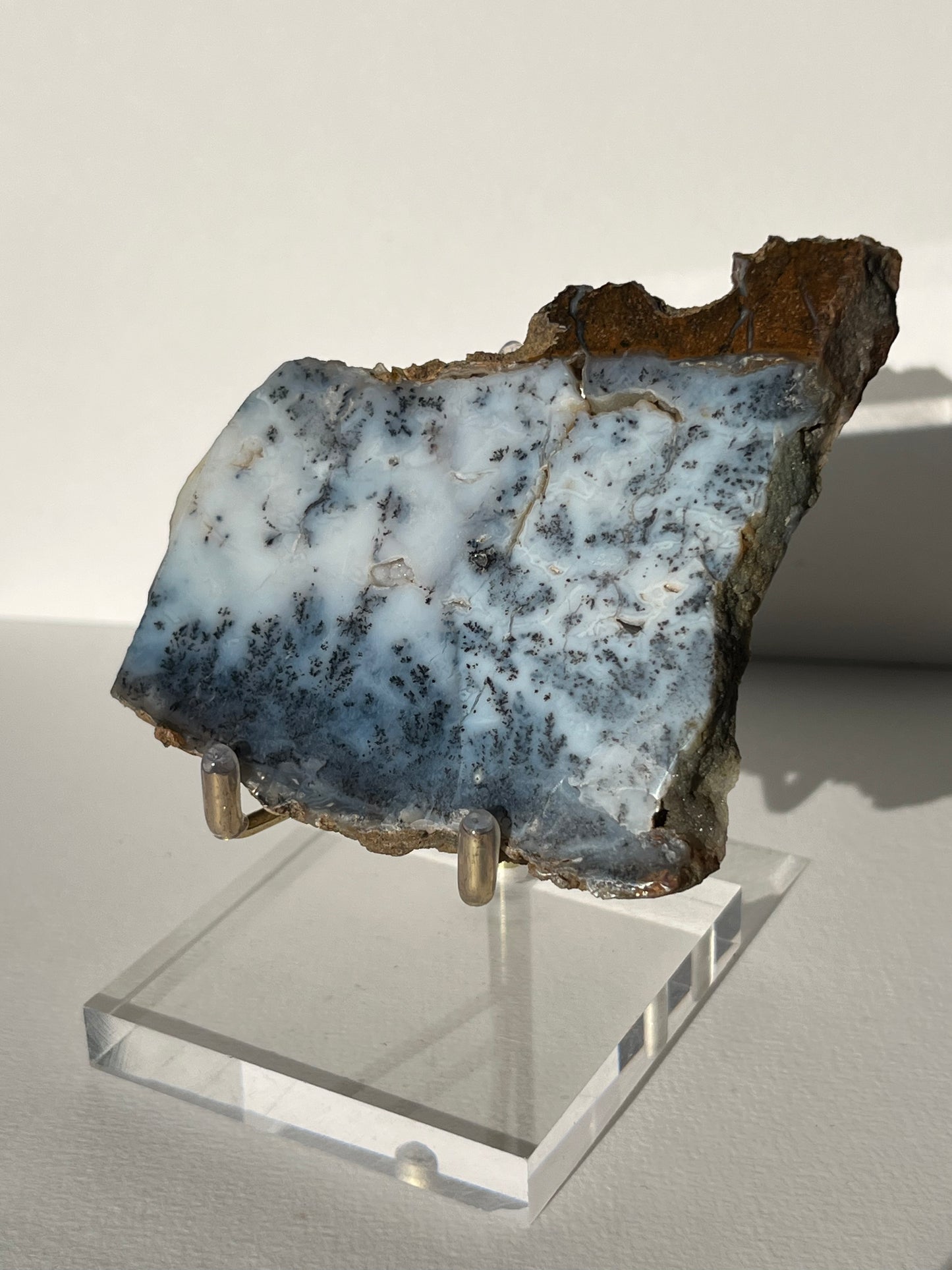 Blue Dendritic Opal Slab D