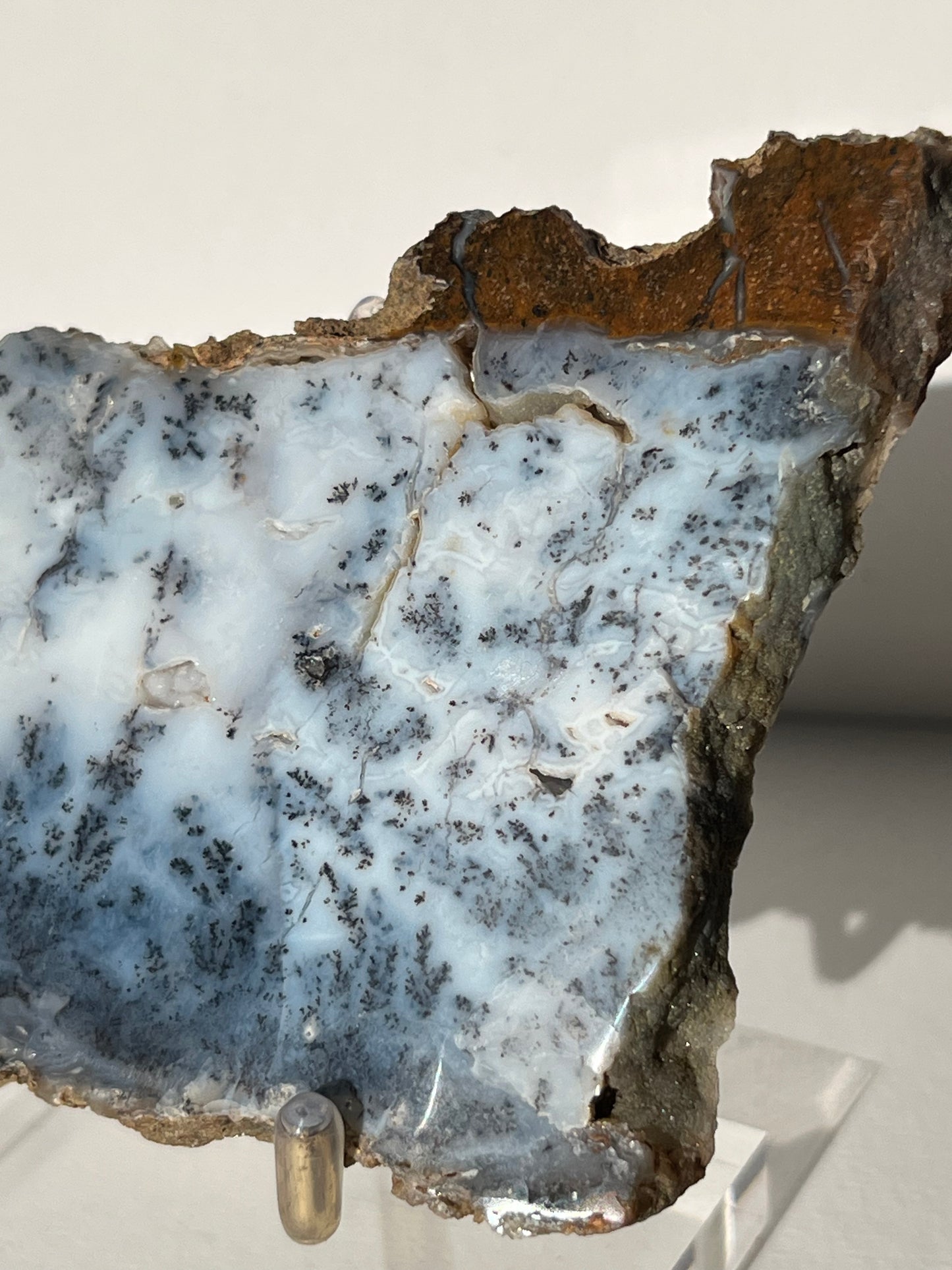 Blue Dendritic Opal Slab D