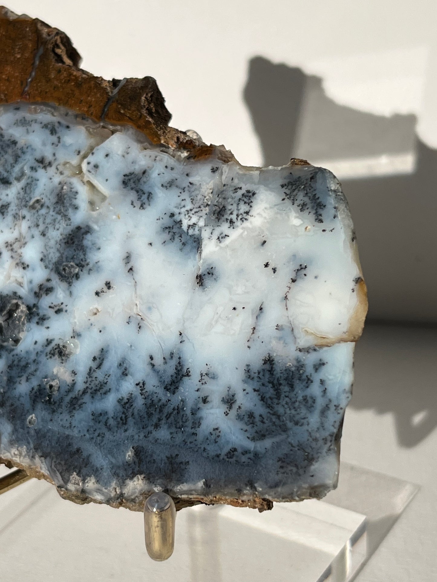 Blue Dendritic Opal Slab D