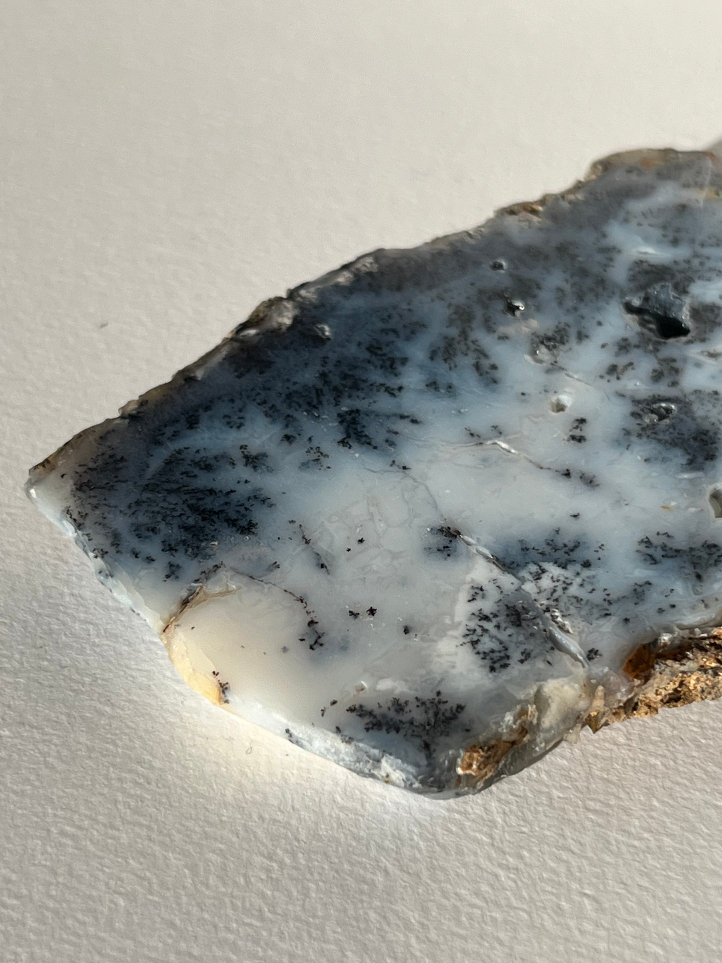 Blue Dendritic Opal Slab D