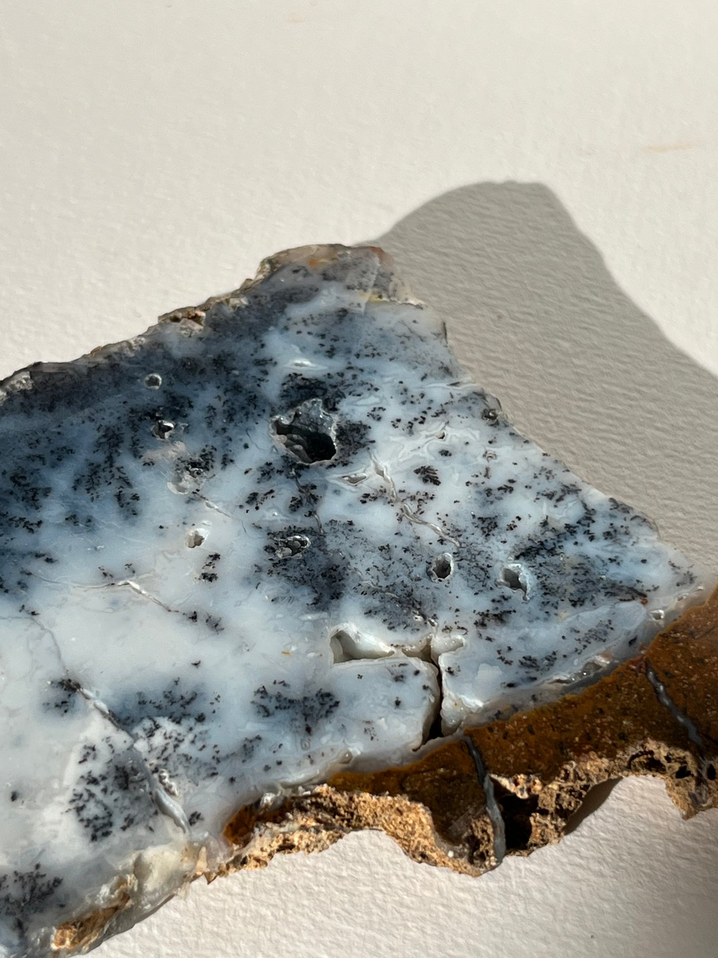 Blue Dendritic Opal Slab D