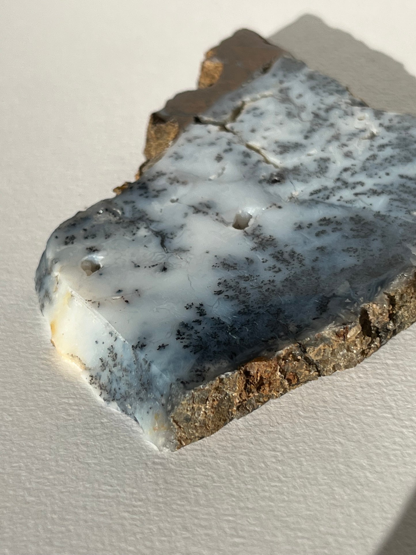 Blue Dendritic Opal Slab D