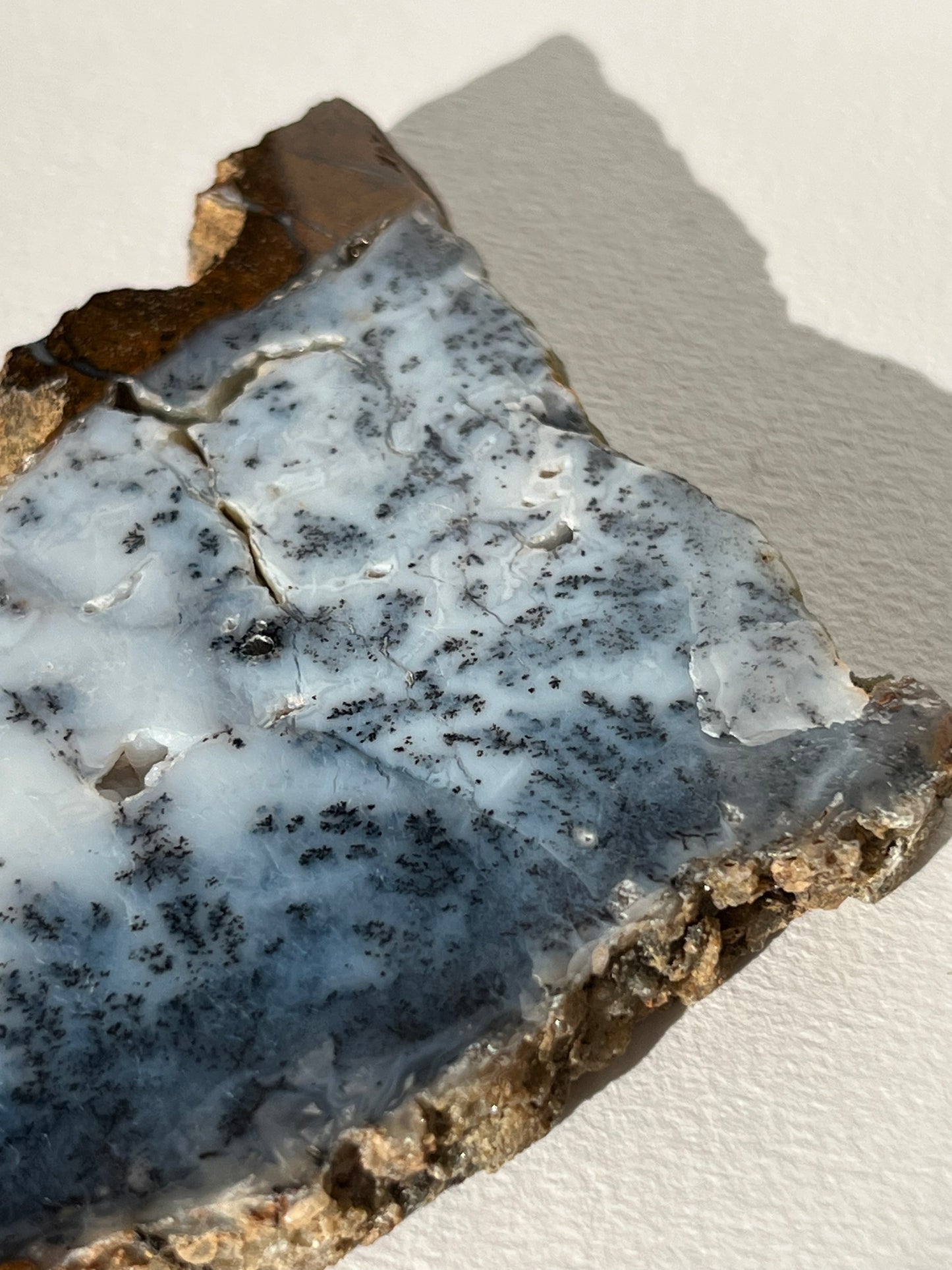 Blue Dendritic Opal Slab D