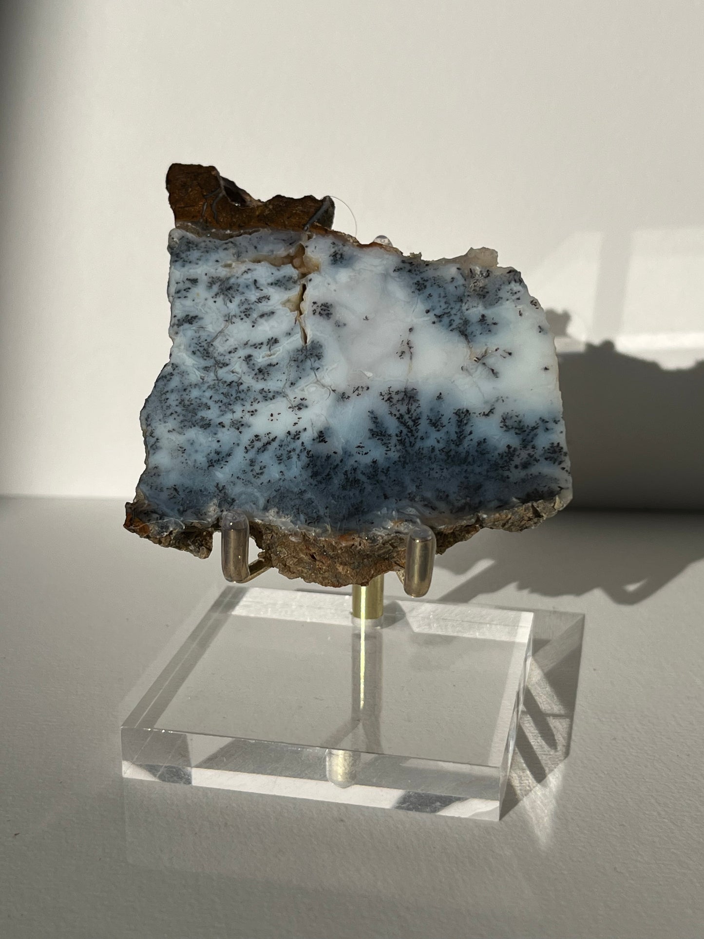 Blue Dendritic Opal Slab E