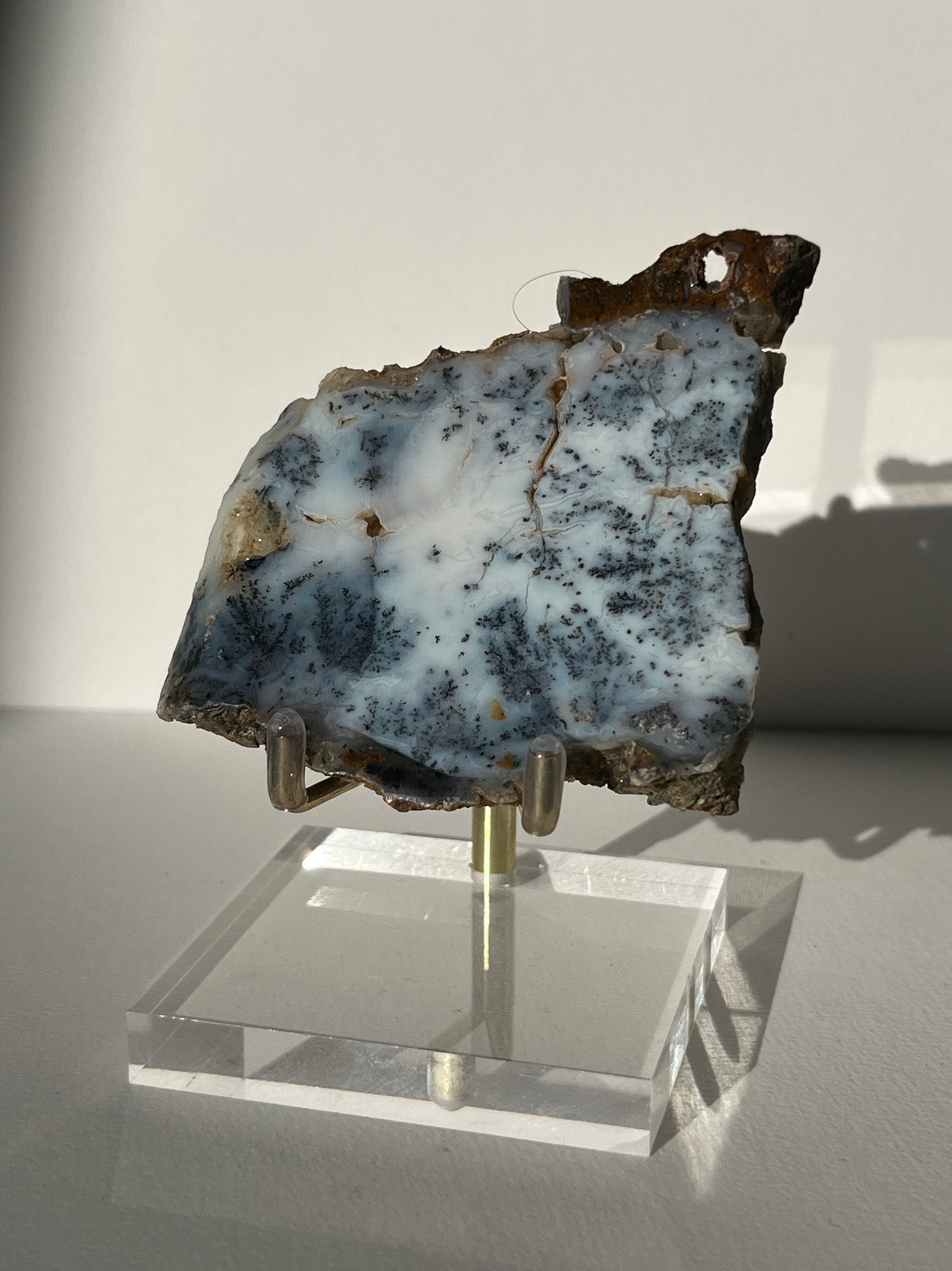 Blue Dendritic Opal Slab E