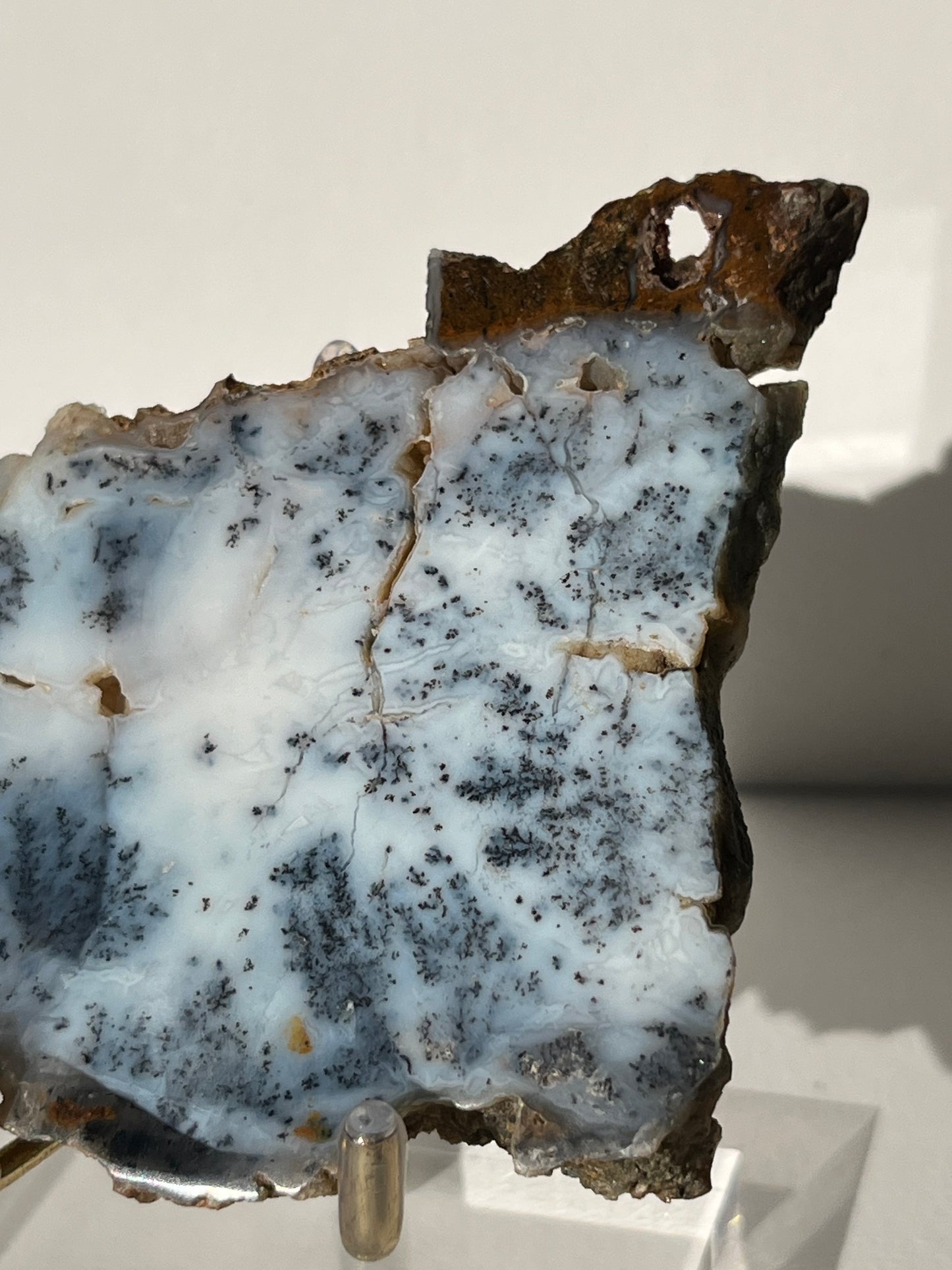 Blue Dendritic Opal Slab E