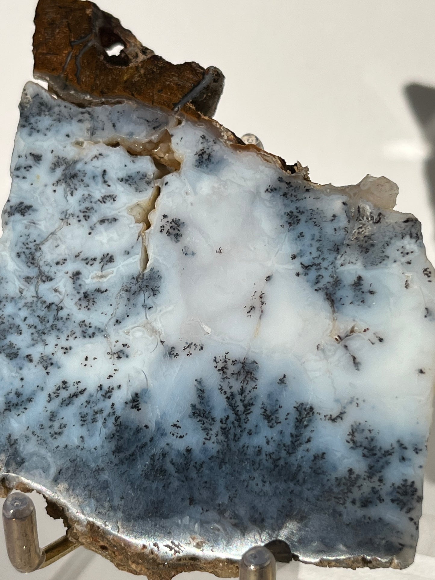 Blue Dendritic Opal Slab E