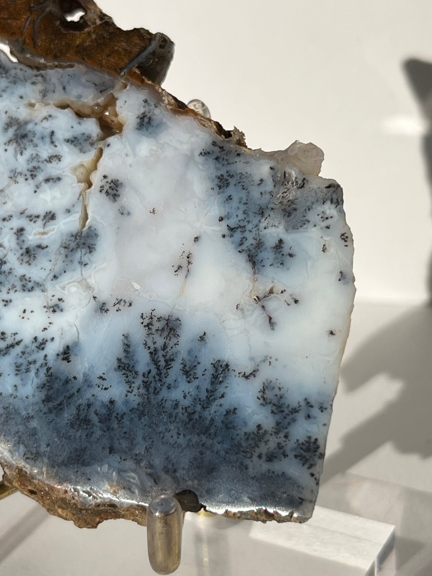 Blue Dendritic Opal Slab E