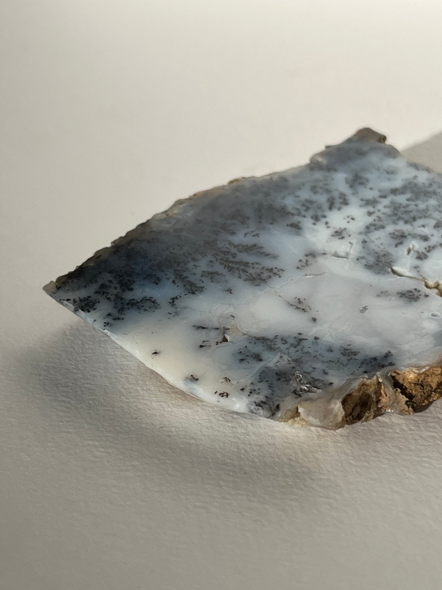 Blue Dendritic Opal Slab E