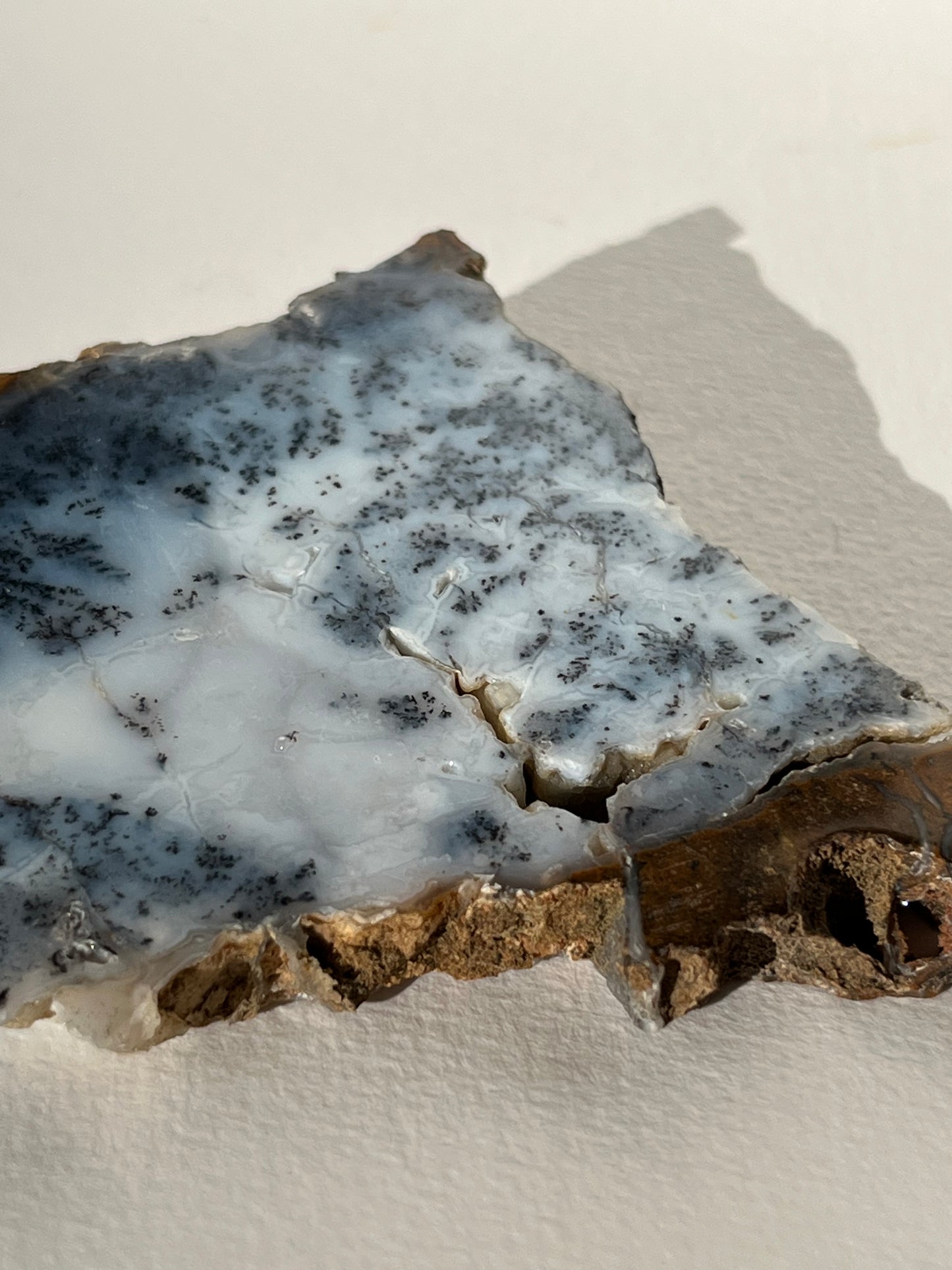 Blue Dendritic Opal Slab E