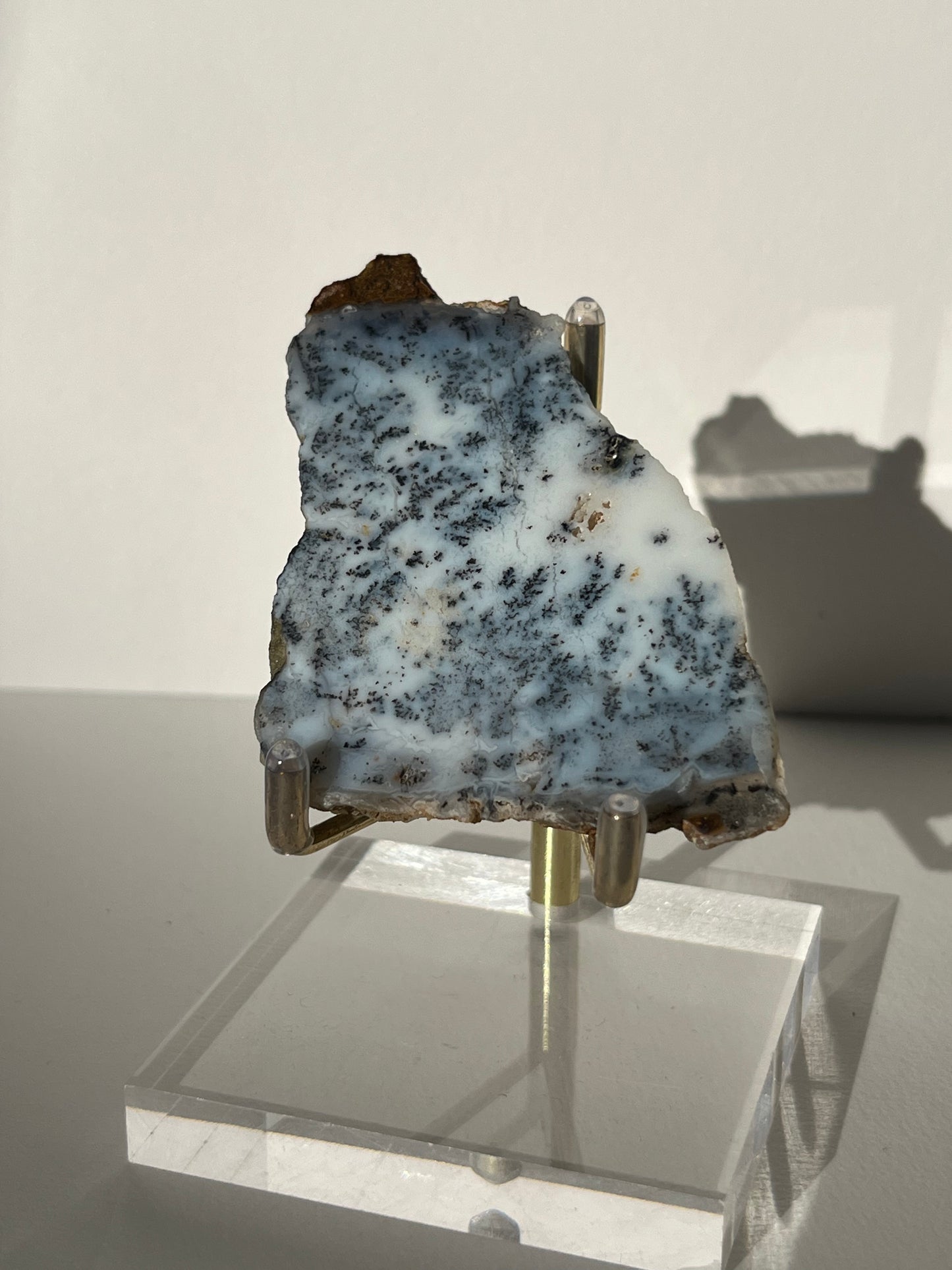 Blue Dendritic Opal Slab F