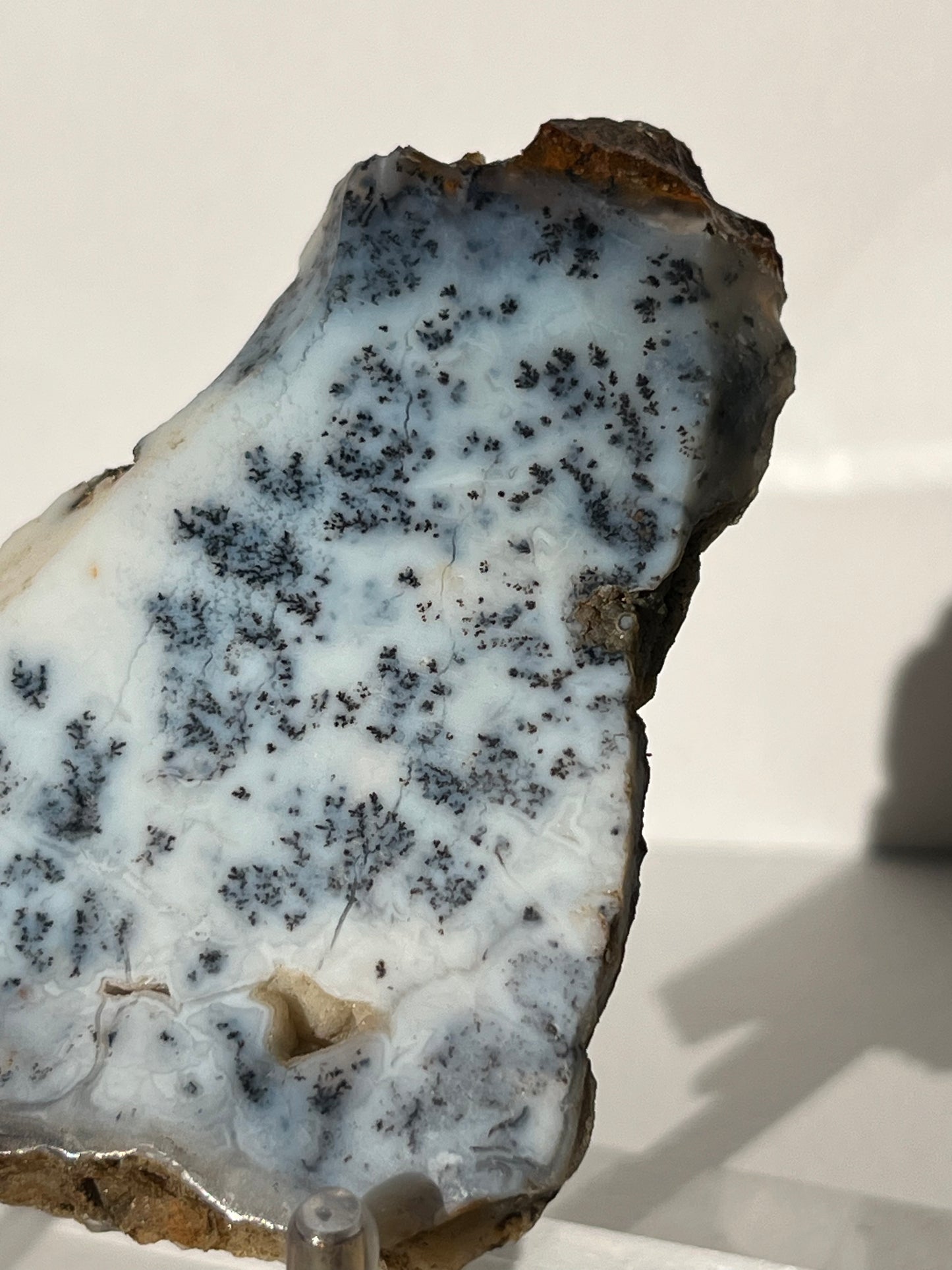 Blue Dendritic Opal Slab F