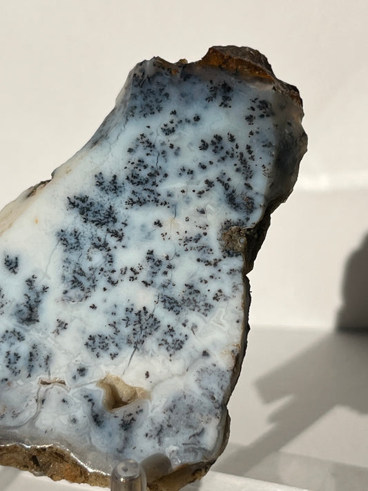 Blue Dendritic Opal Slab F