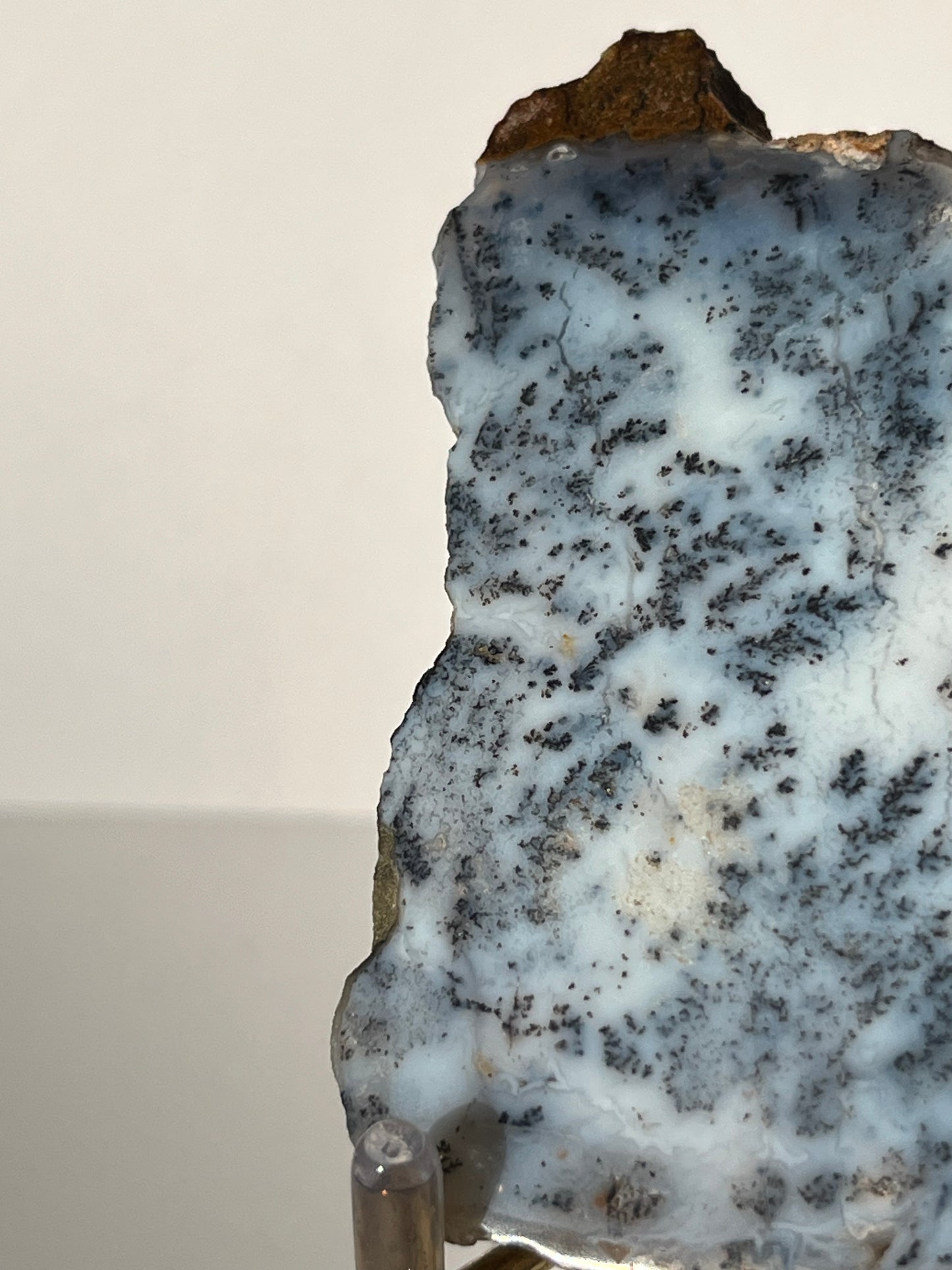 Blue Dendritic Opal Slab F