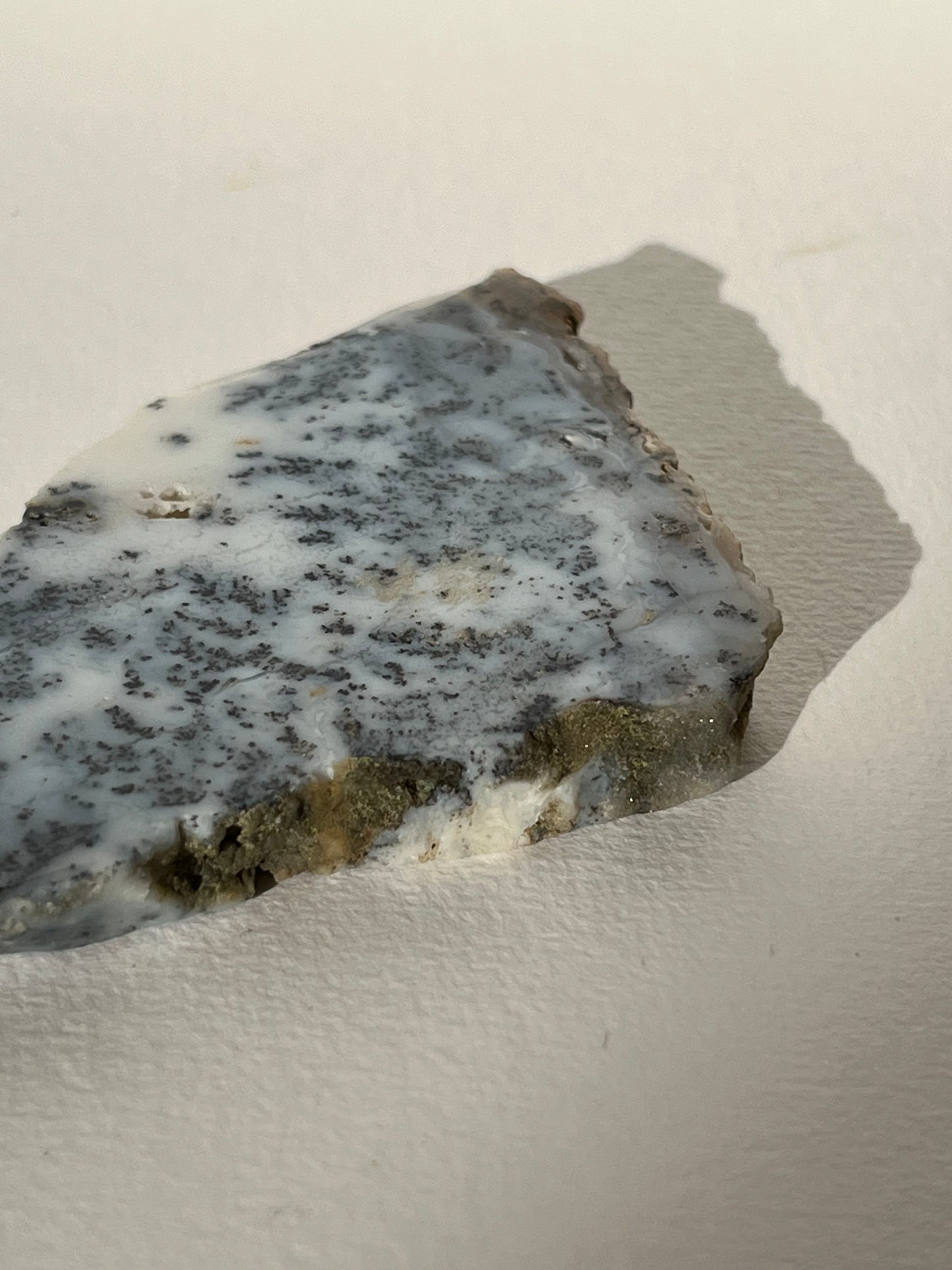 Blue Dendritic Opal Slab F
