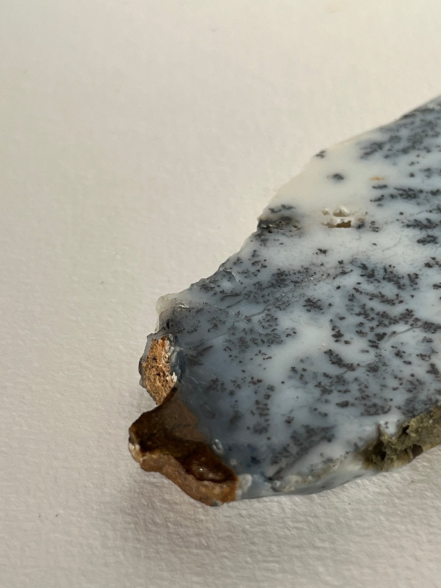 Blue Dendritic Opal Slab F