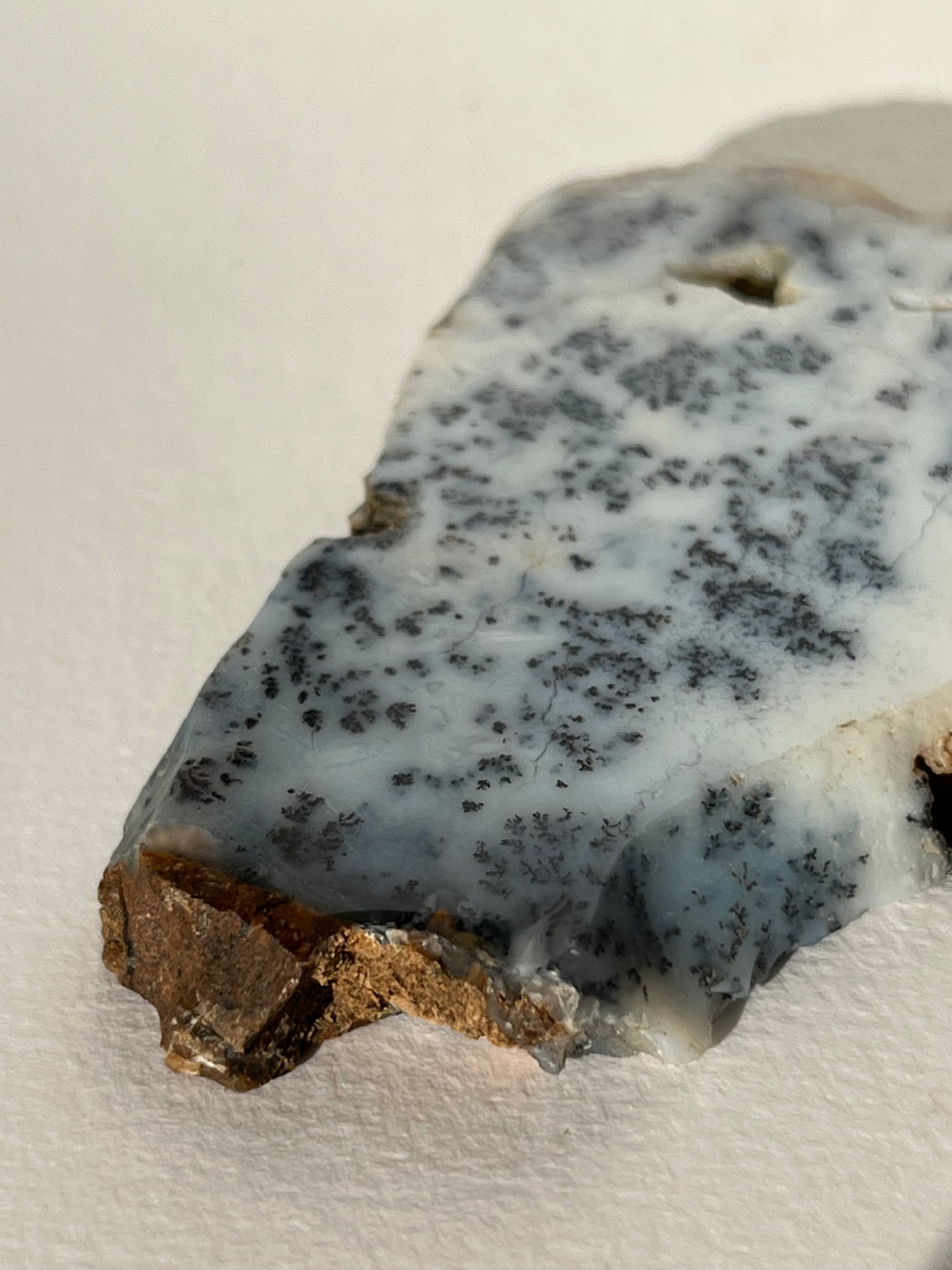 Blue Dendritic Opal Slab F