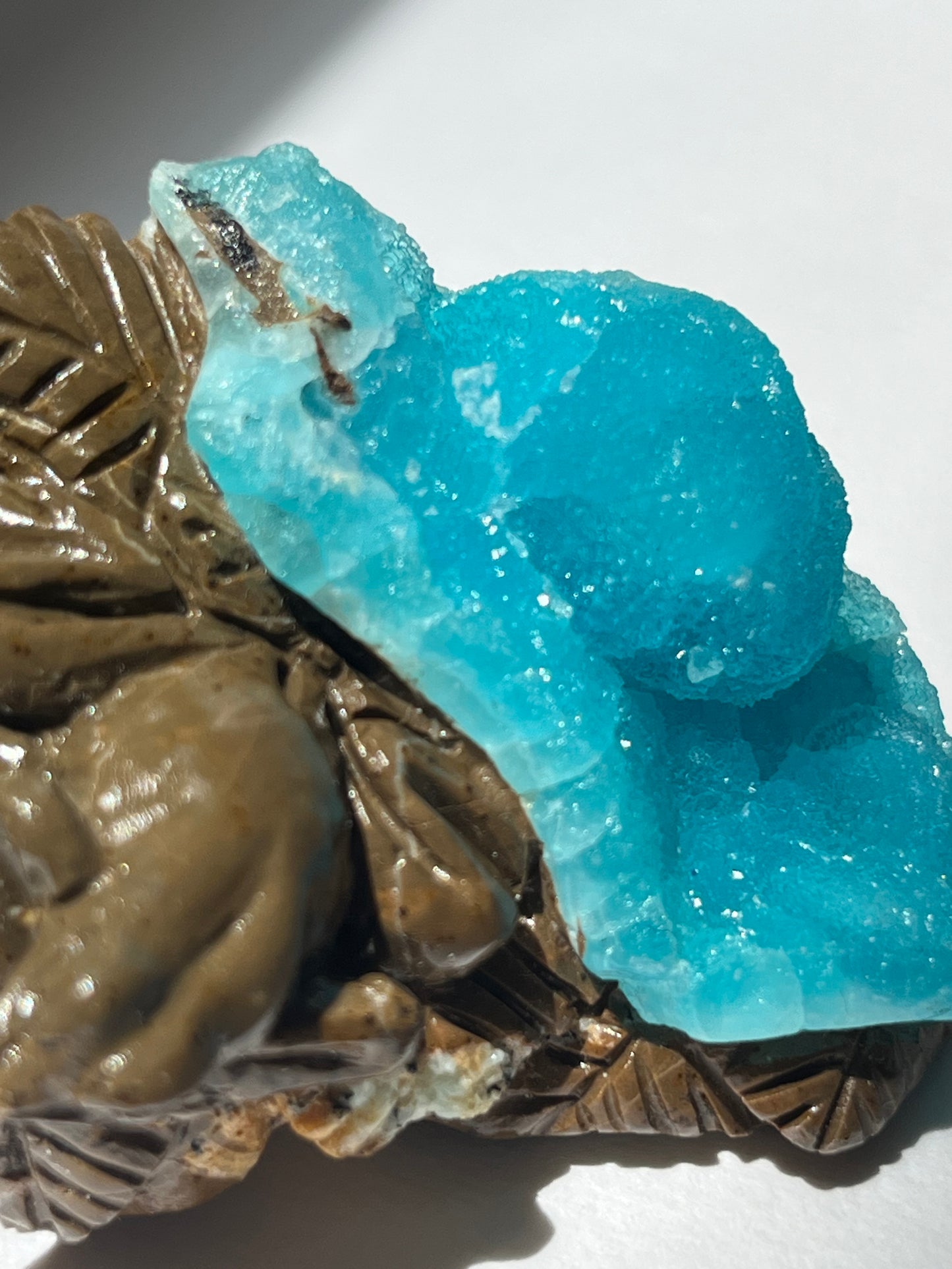 Blue Hemimorphite Frog Carving on Matrix with Dendritic Inclusions