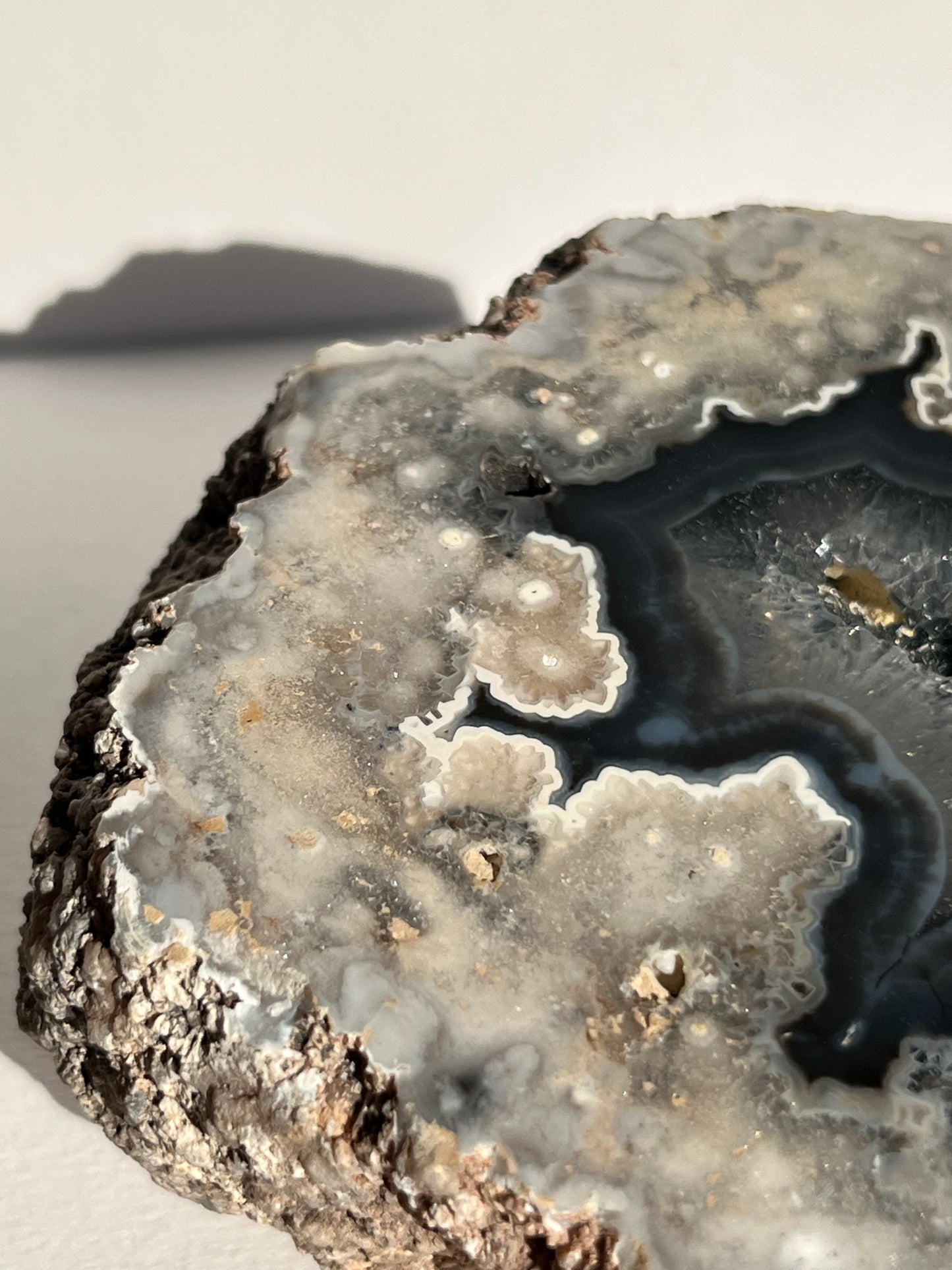 "Flores" Inky Blue Argentinian Puma Agate Specimen