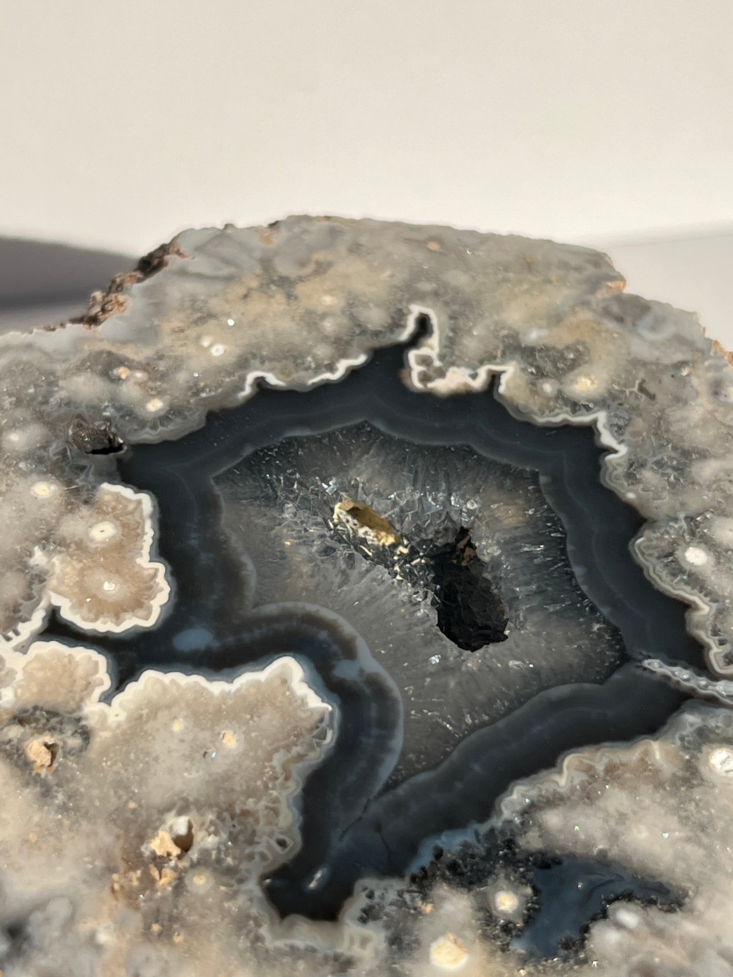 "Flores" Inky Blue Argentinian Puma Agate Specimen