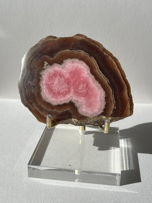 Brown Rhodochrosite Stalagmite Nodule Cross Section Specimen (Collector's Choice)