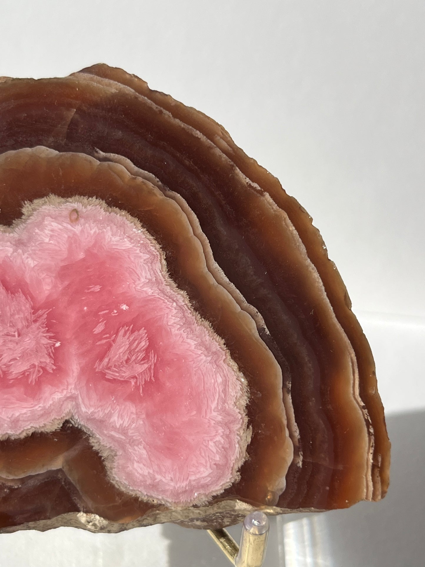 Brown Rhodochrosite Stalagmite Nodule Cross Section Specimen (Collector's Choice)