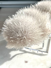 Load image into Gallery viewer, Mesolite Specimen #17
