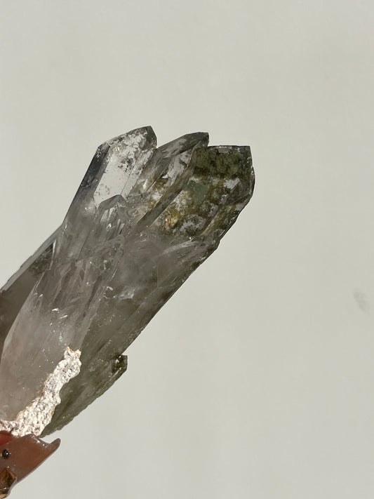 Chlorite Quartz Faden Specimen B