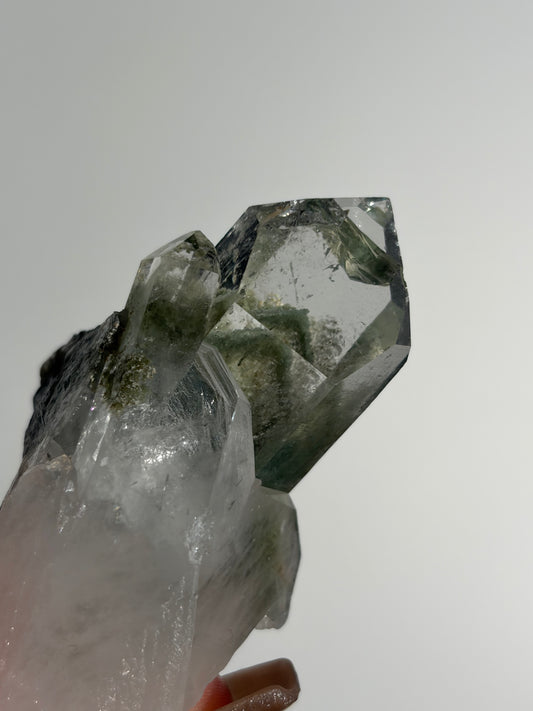 Phantom Chlorite Included Quartz Specimen L