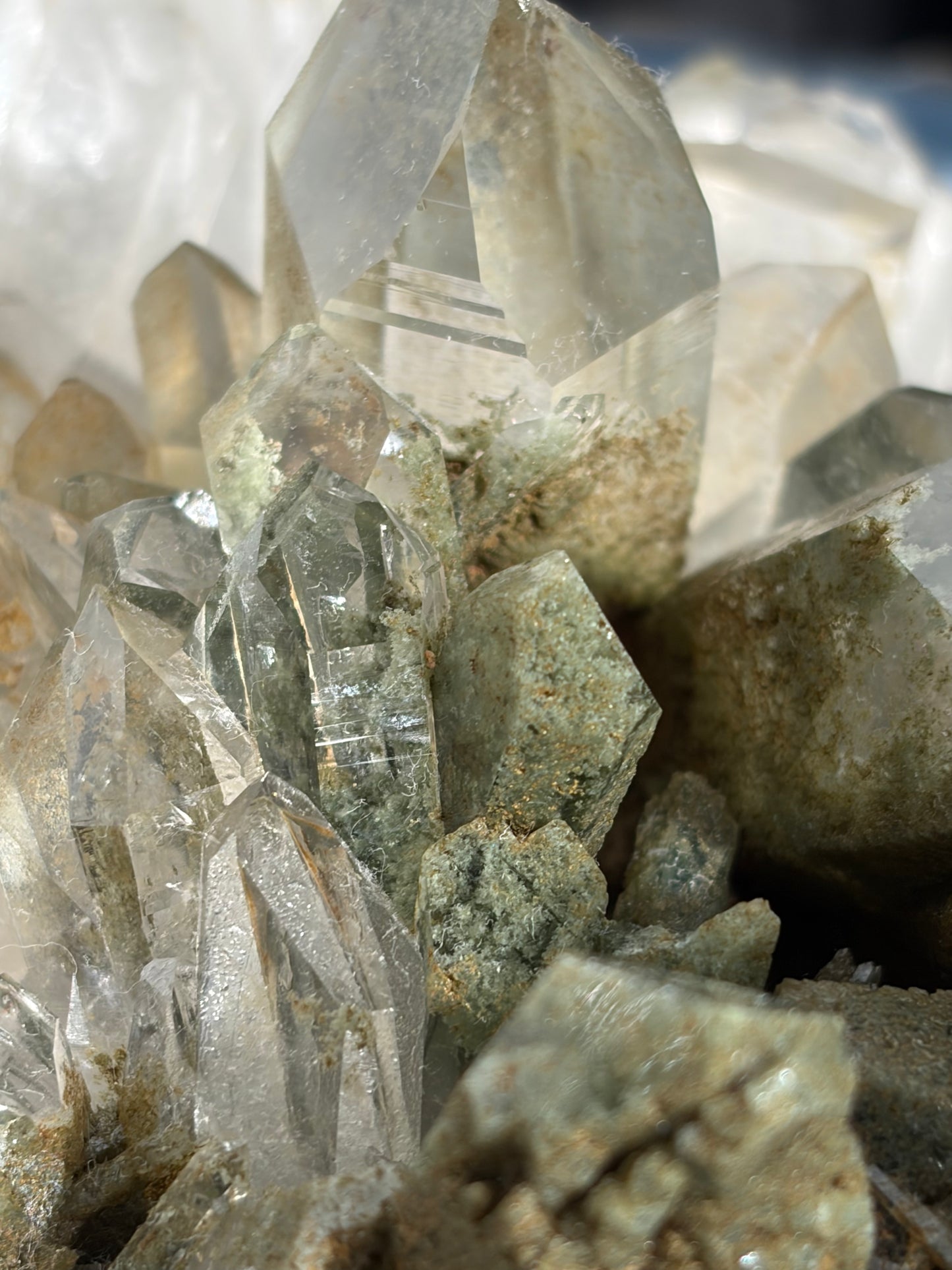 "La Reine" Chlorite Included Quartz Statement Specimen