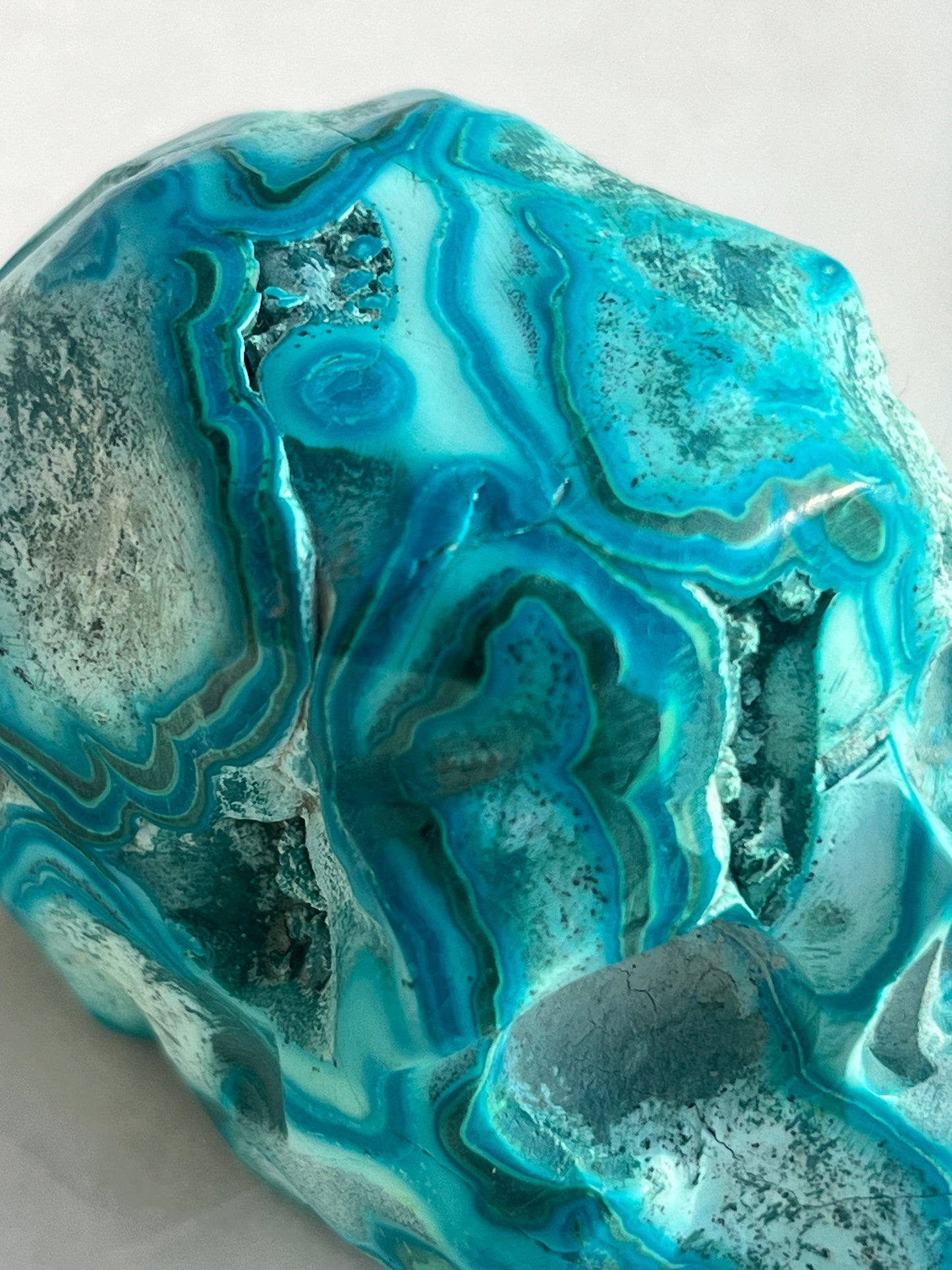 Orbicular Chrysocolla Skull Carving